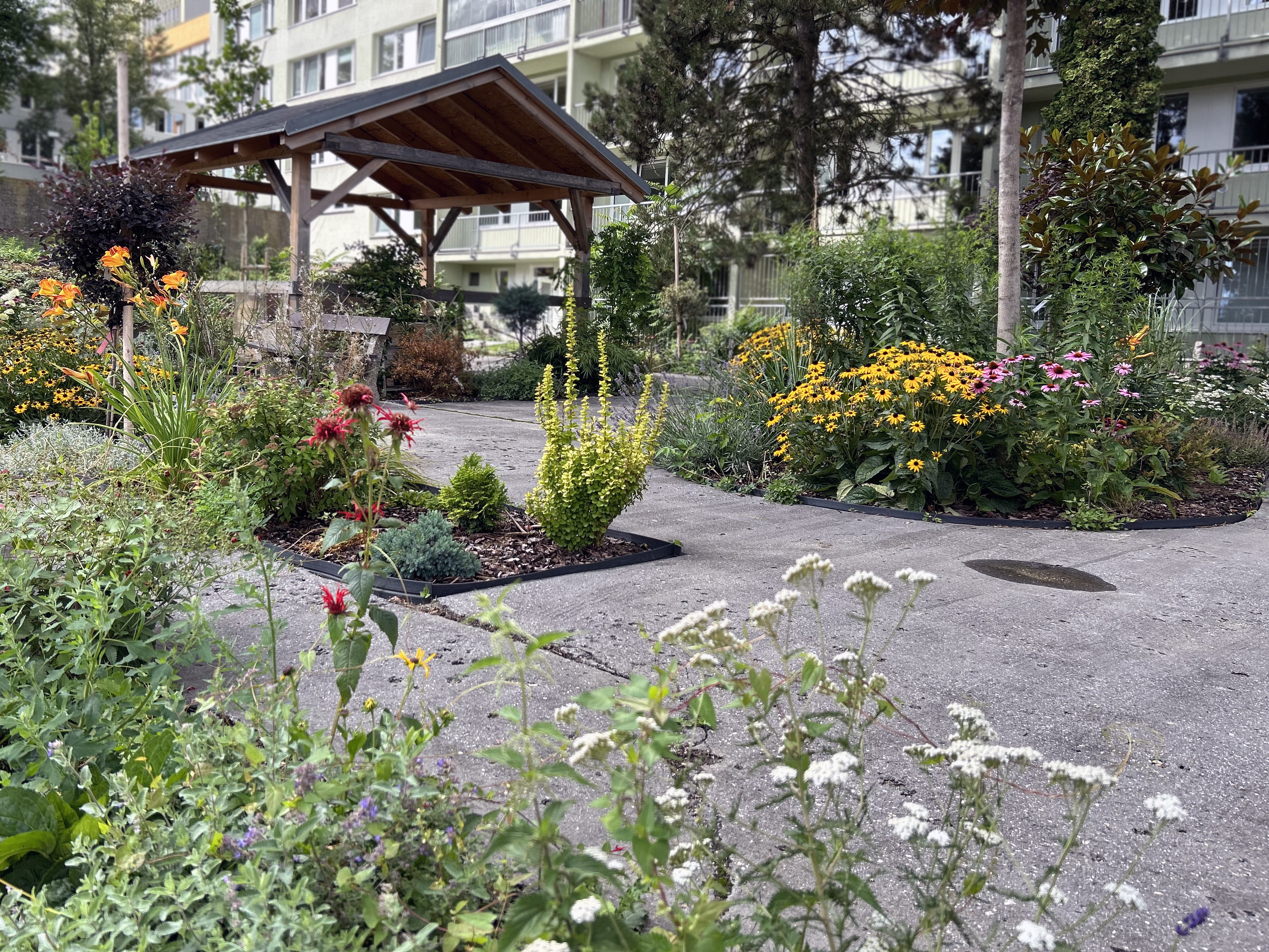 Klinika následné péče Zelený pruh foto 4