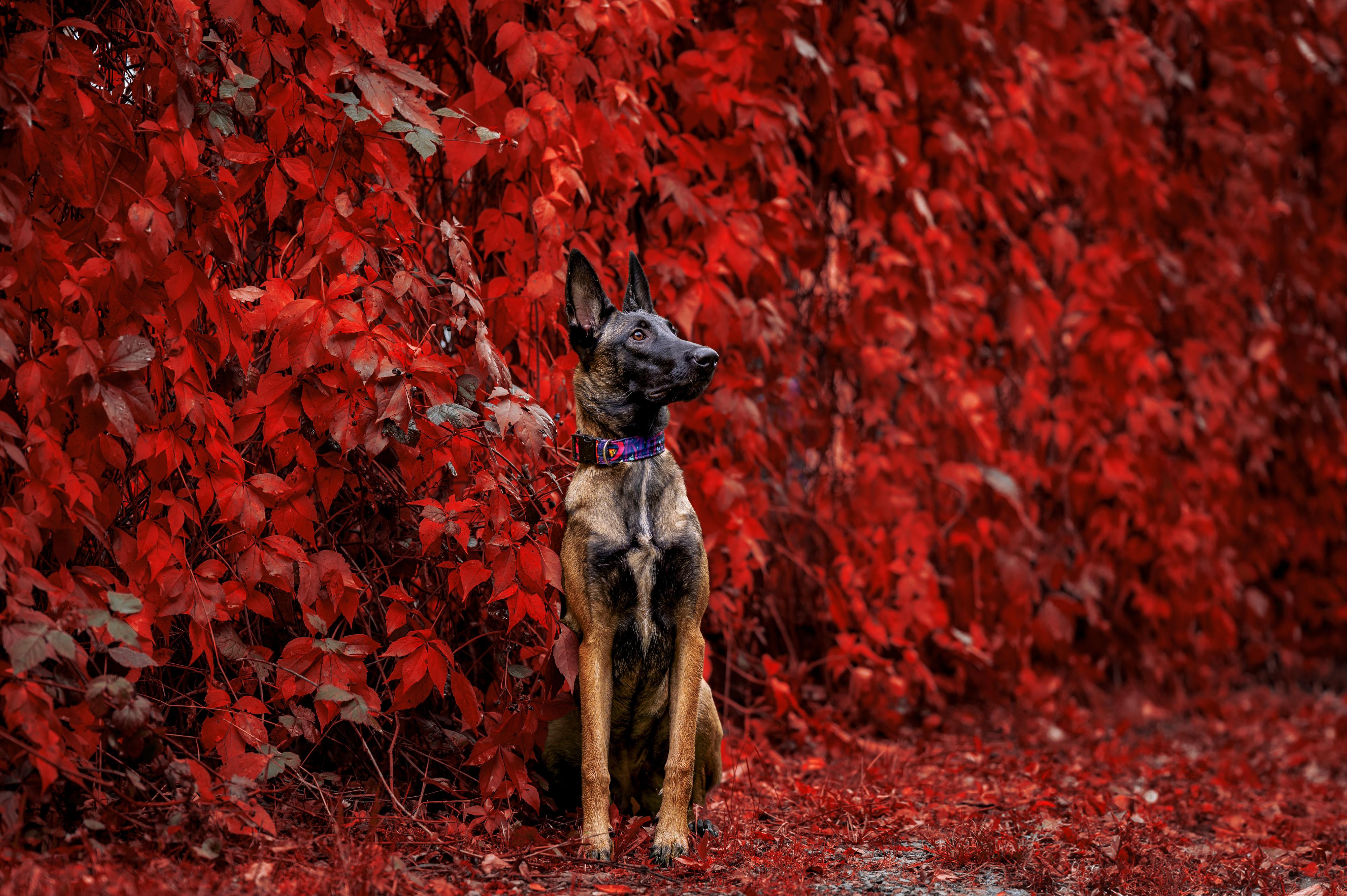 Magdaléna Pavlonová Fotografie foto 3