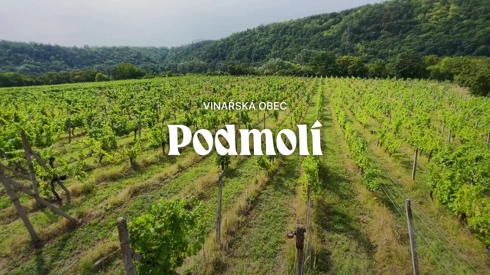 ZNOVÍN ZNOJMO, a.s. foto 2 (náhled videa)