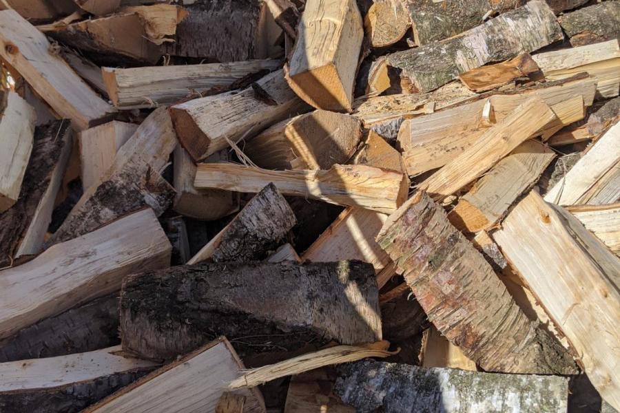 Palivové dřevo bříza - polínka