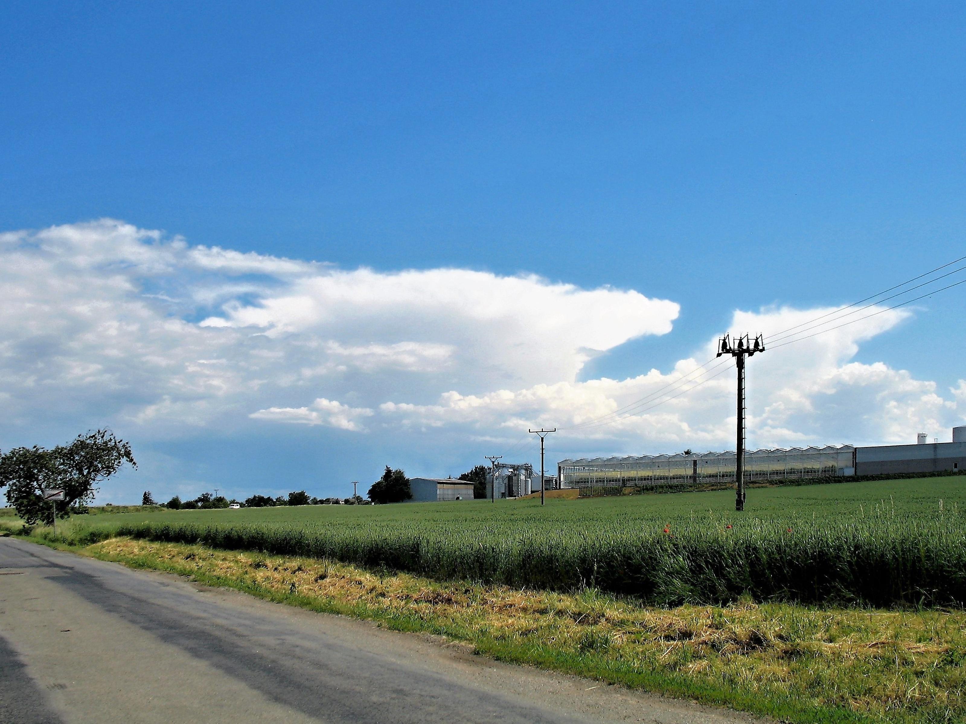Zemědělské družstvo Haňovice - Prodejní automat foto 2