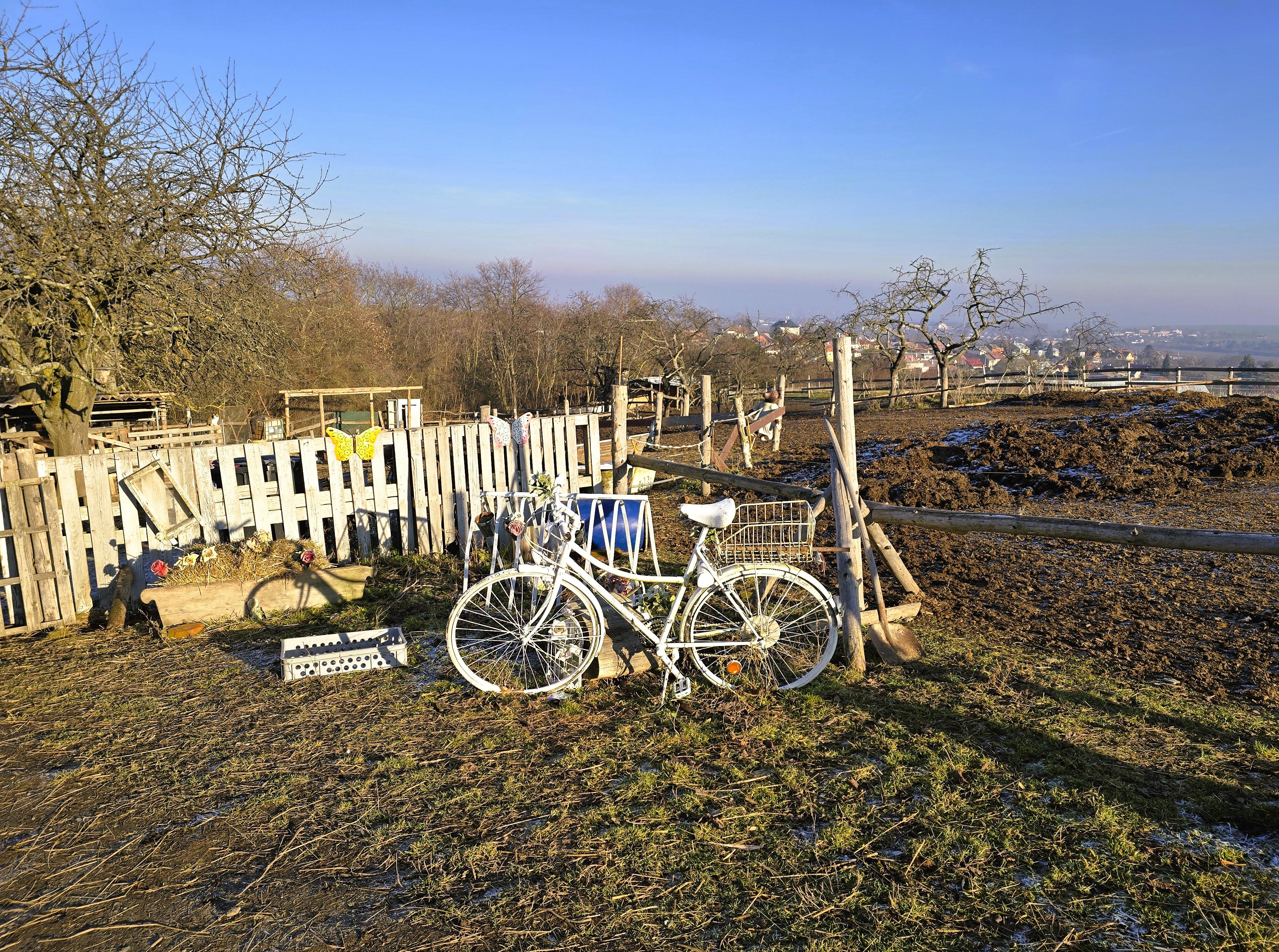 Naše malá farma Ludéřov foto 3