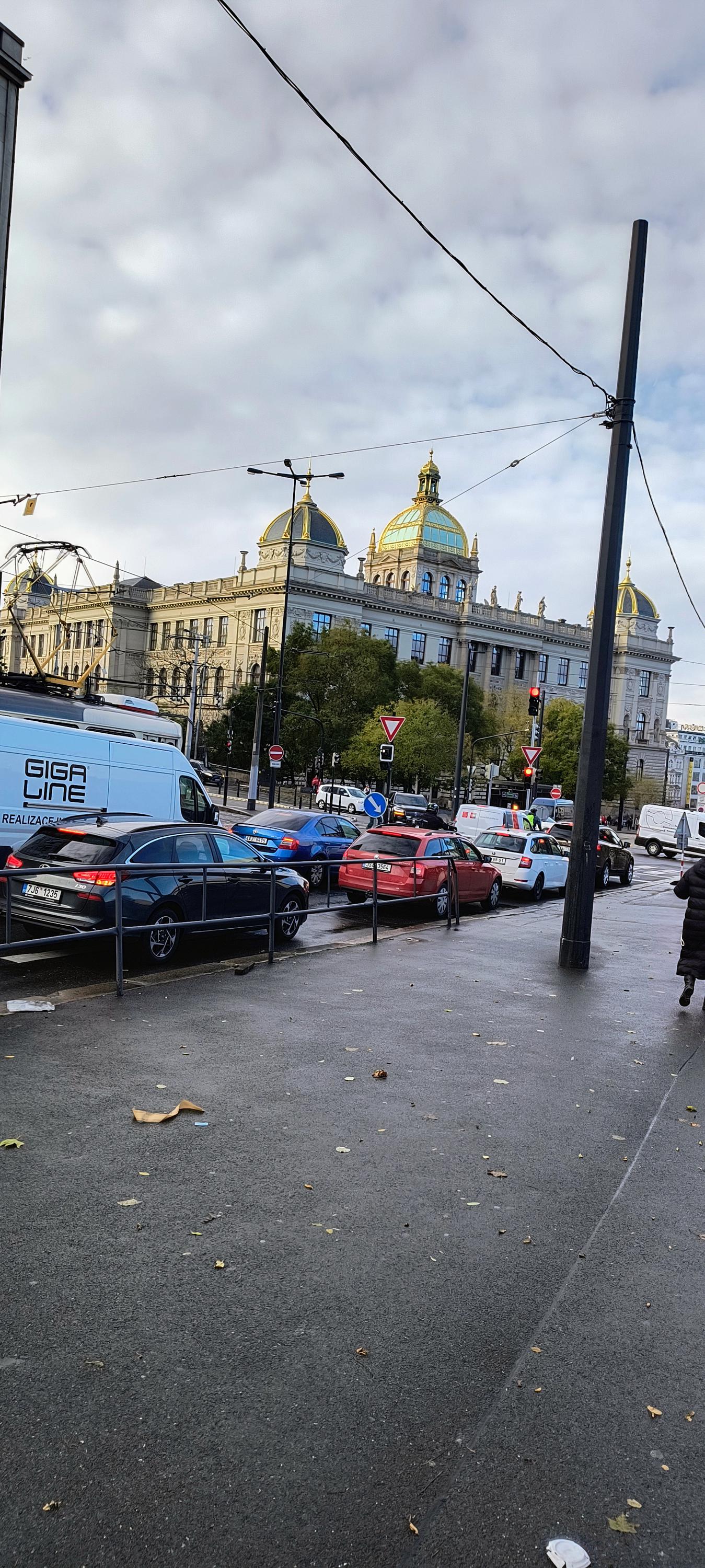 Knihovna Národního muzea foto 6