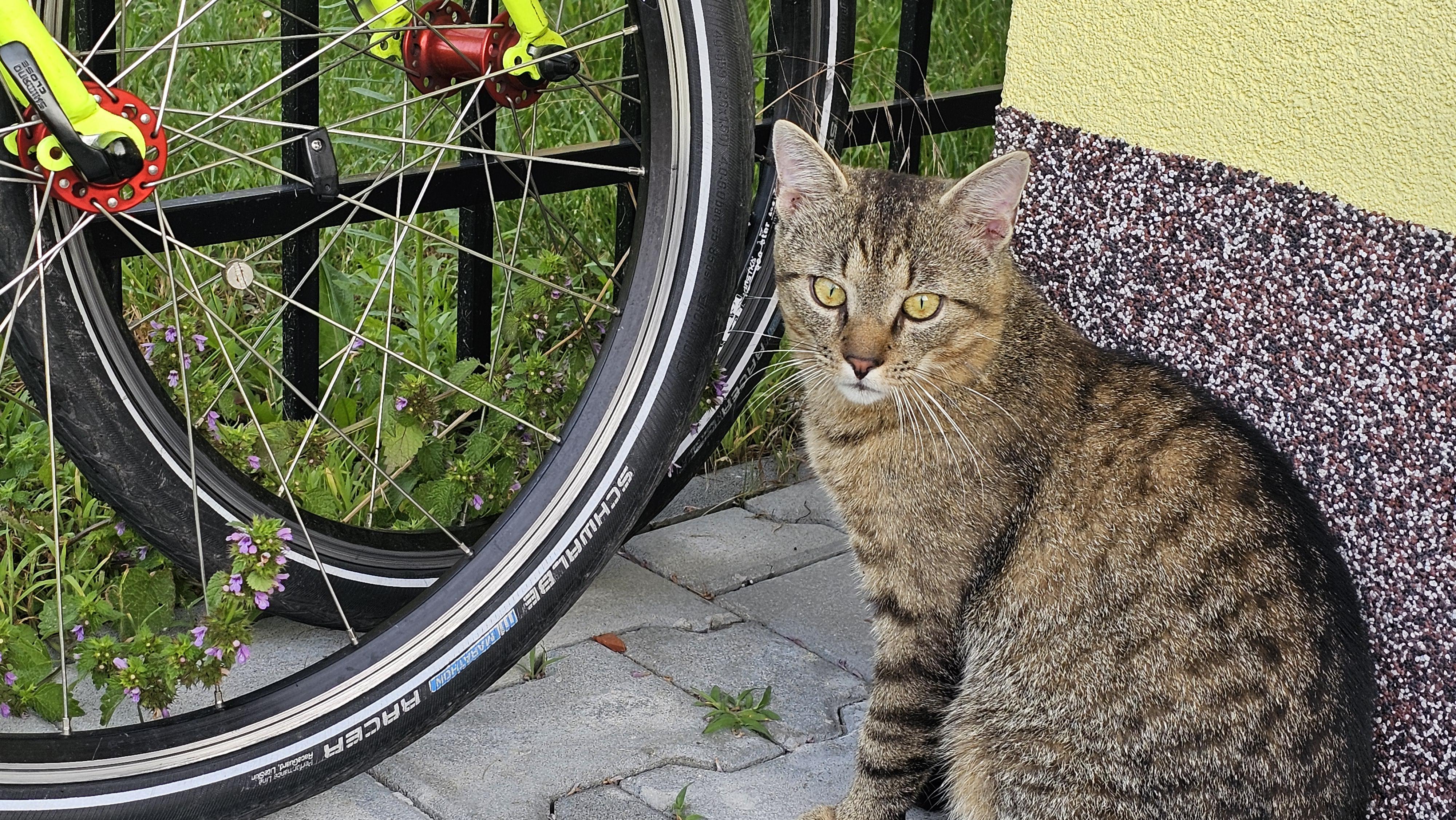 Hostinec na koupališti foto 5