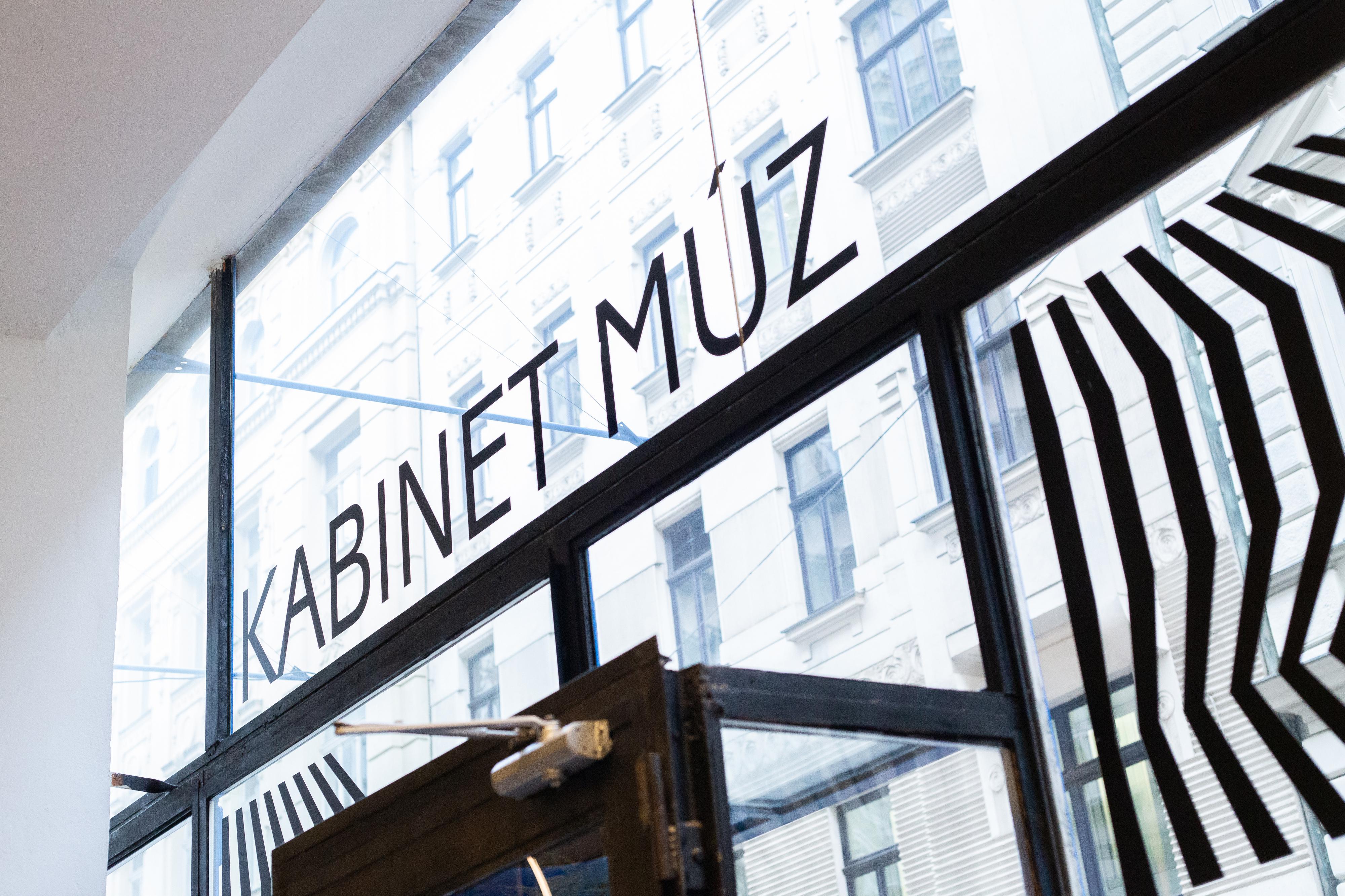 Kabinet MÚZ foto 3