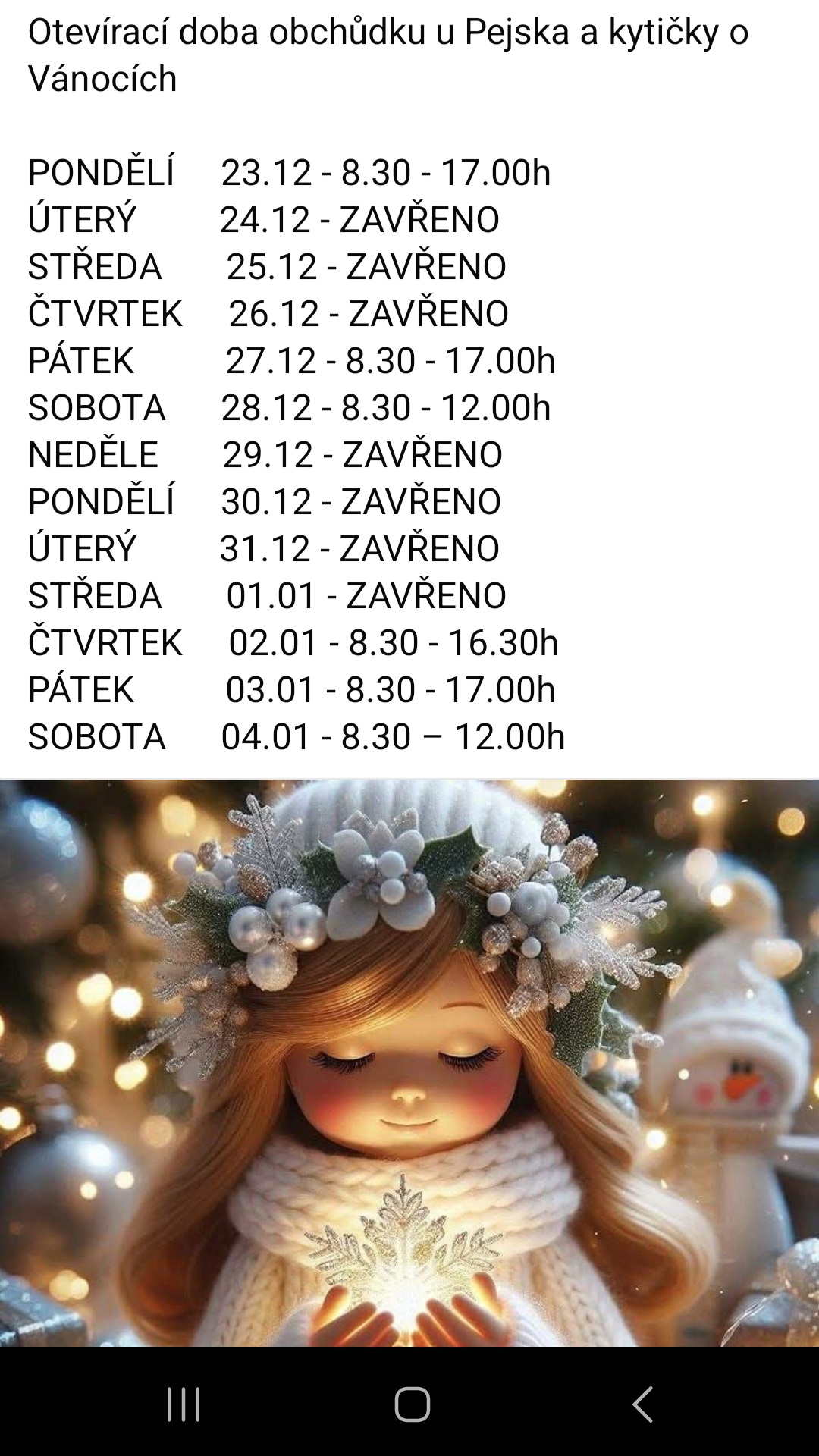 U Pejska a kytičky foto 2
