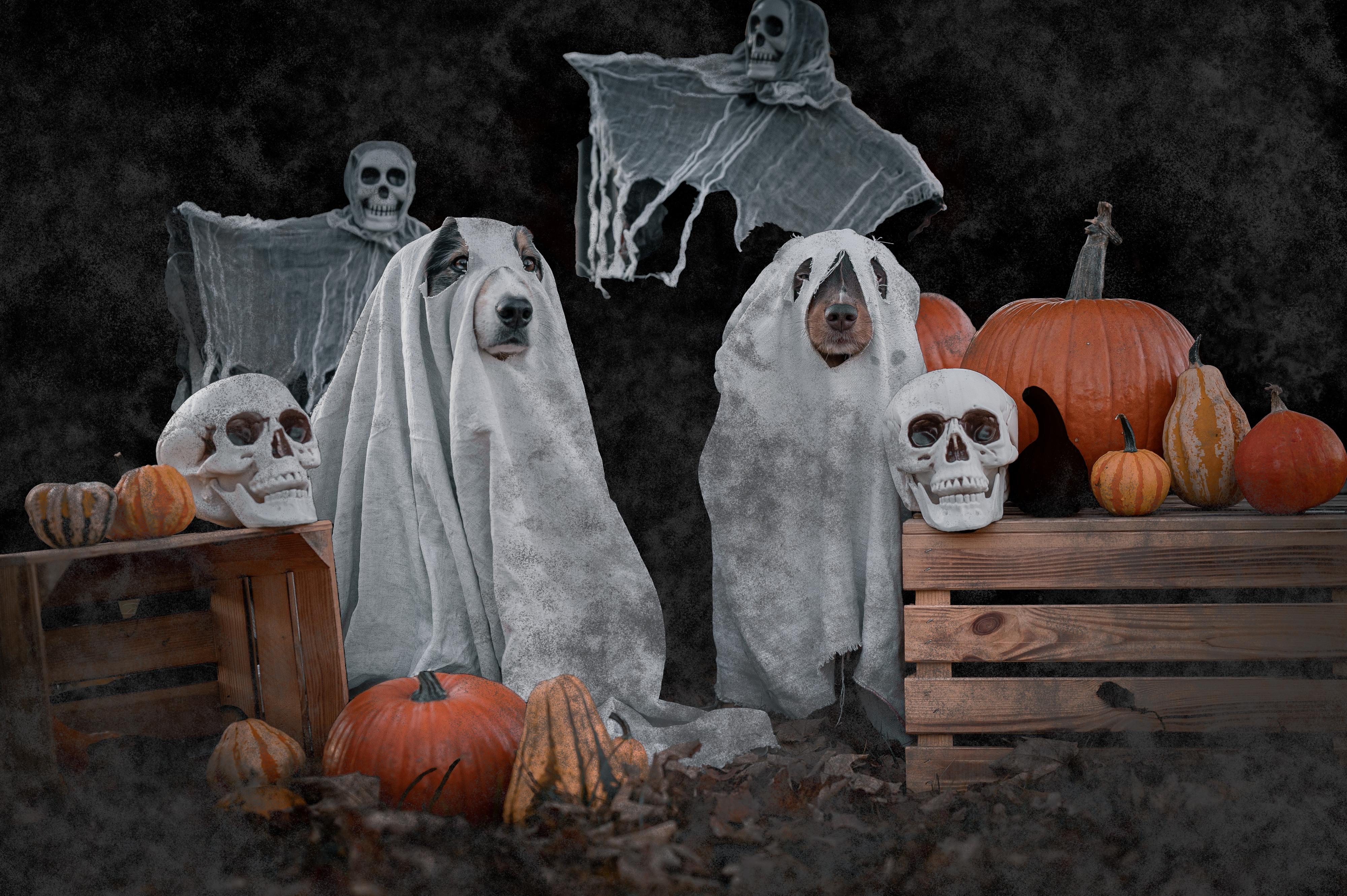 Magdaléna Pavlonová Fotografie foto 2