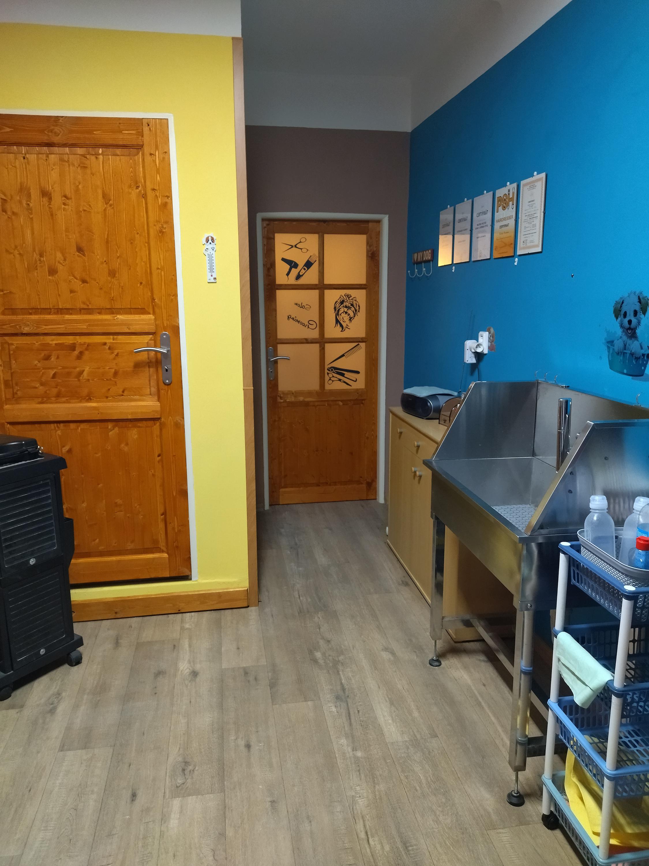 Psí salon NELA foto 6