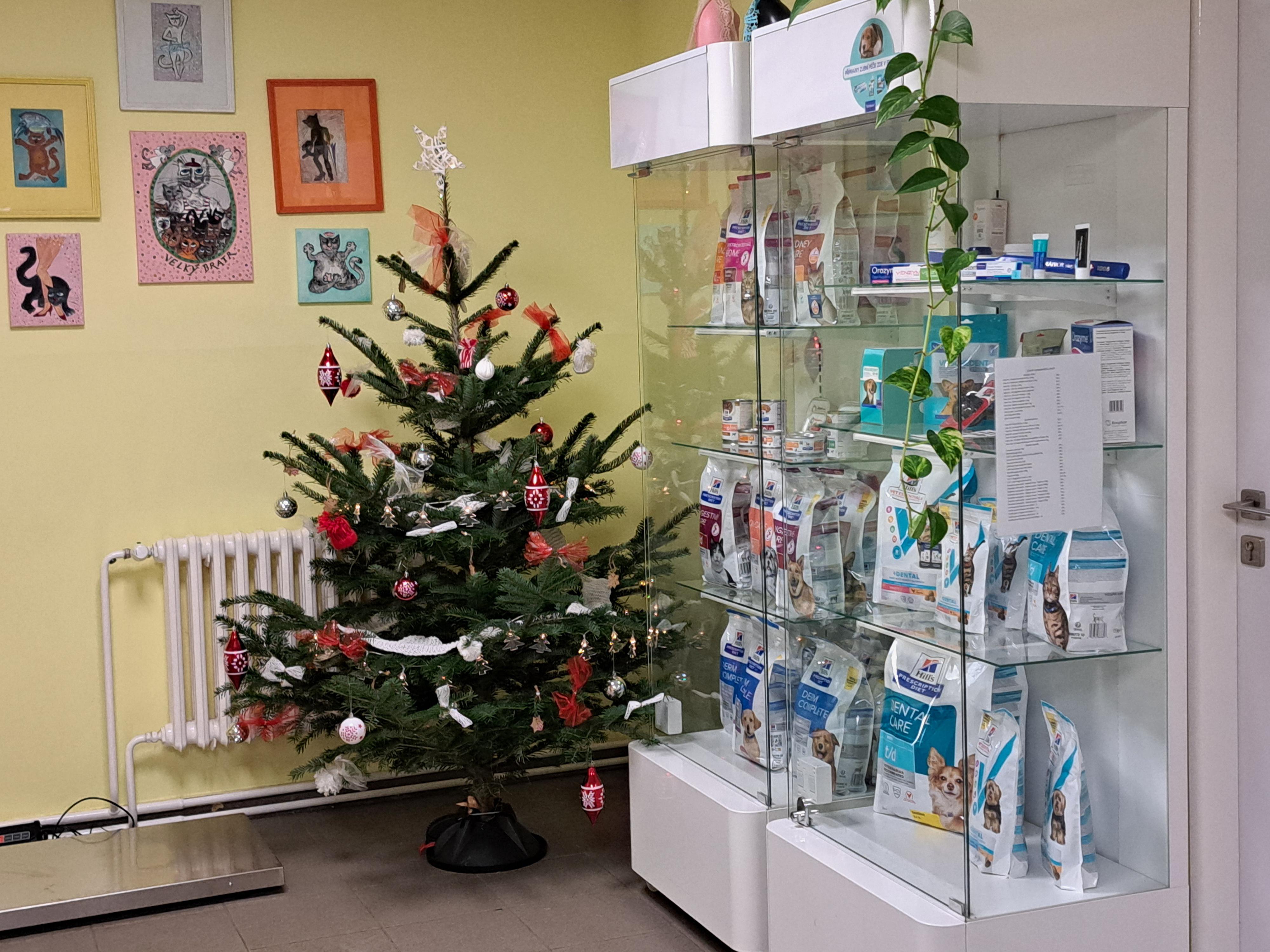 Veterinární ordinace Rozárka foto 3
