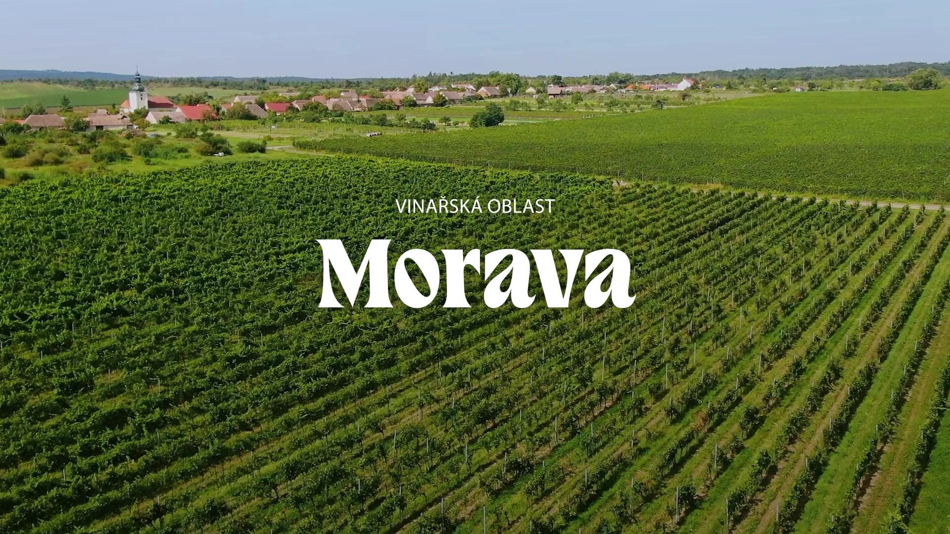 Znovín Znojmo - Ochutnávkový stánek Šobes foto 2 (náhled videa)