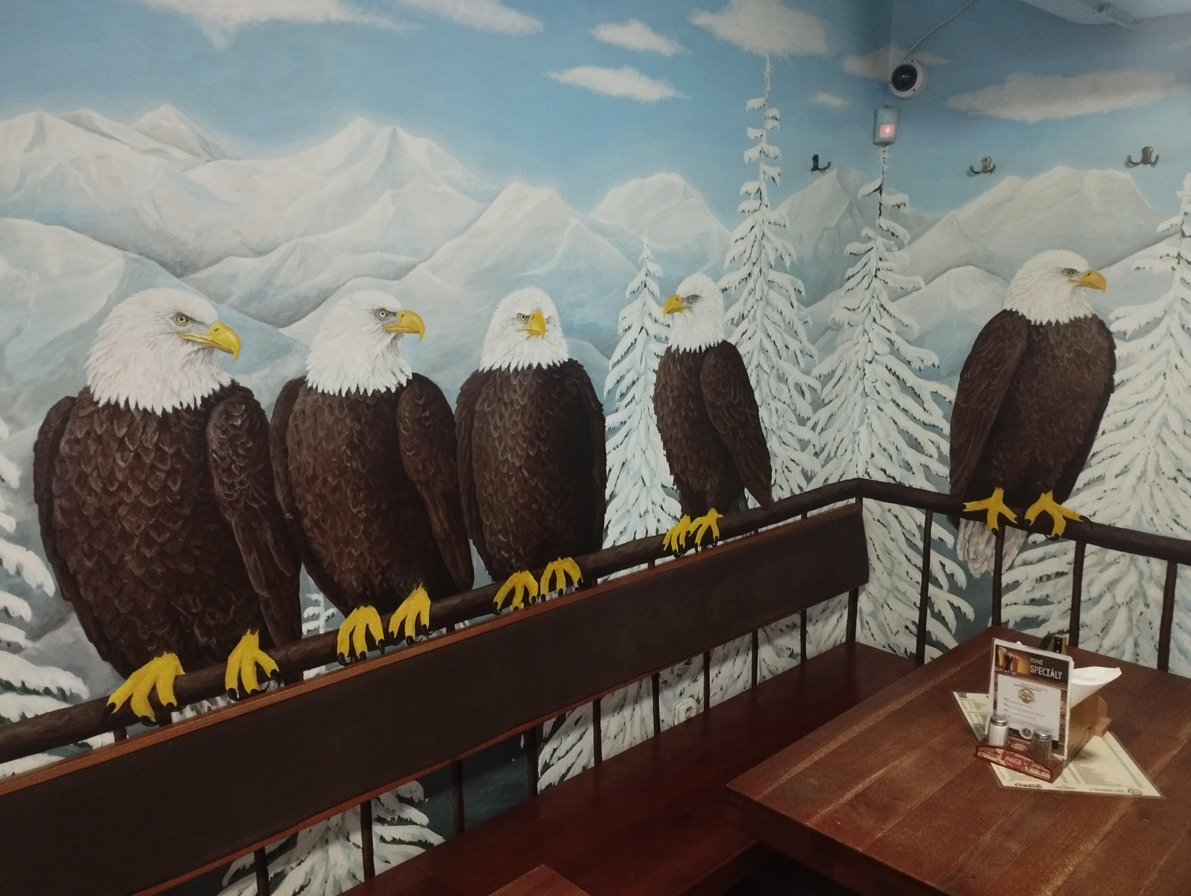 Steakový a pivní bar U Dřevěného orla foto 5