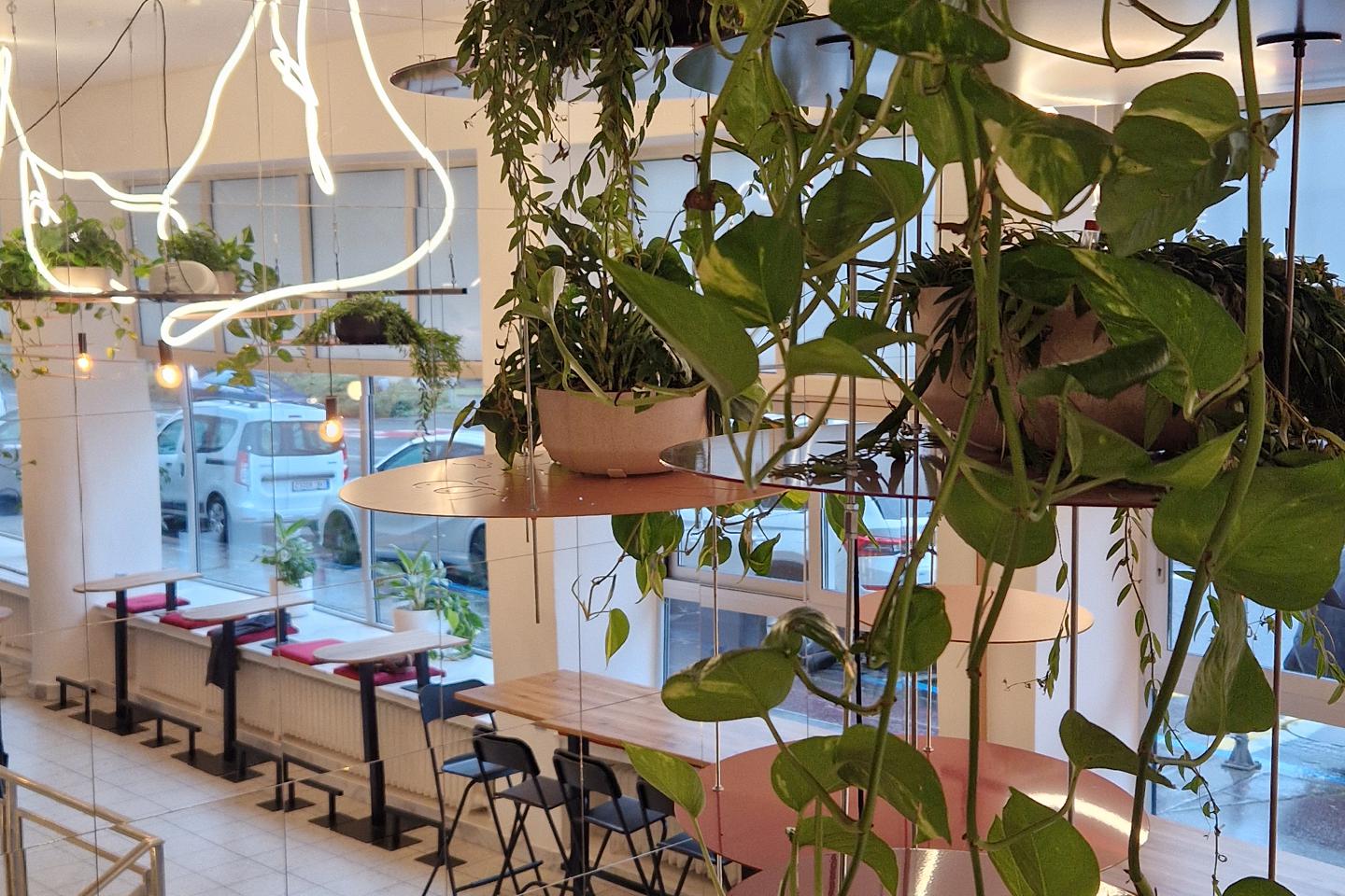 The Roses Co., s.r.o.