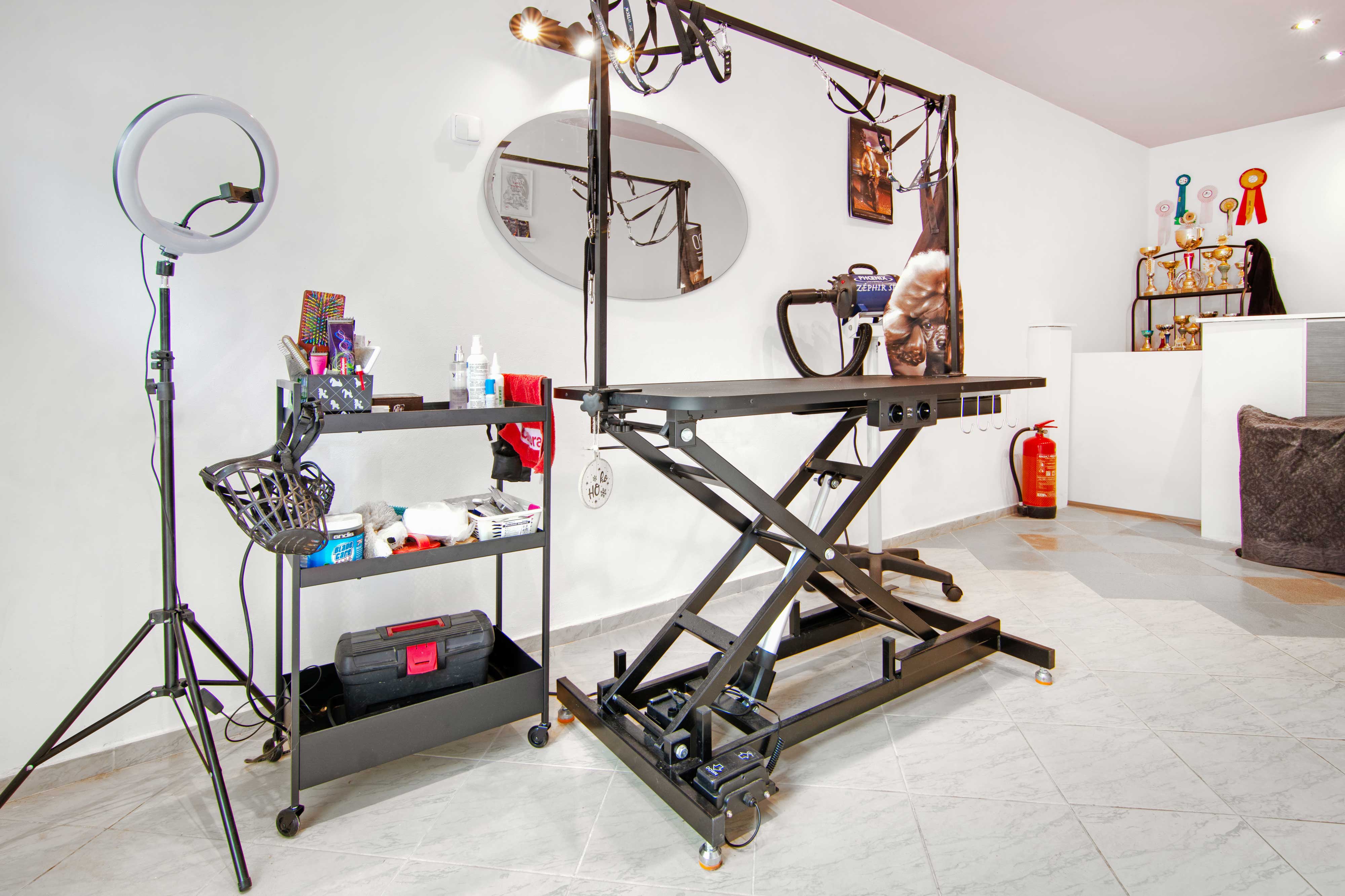 Psí salon slečny Daisy