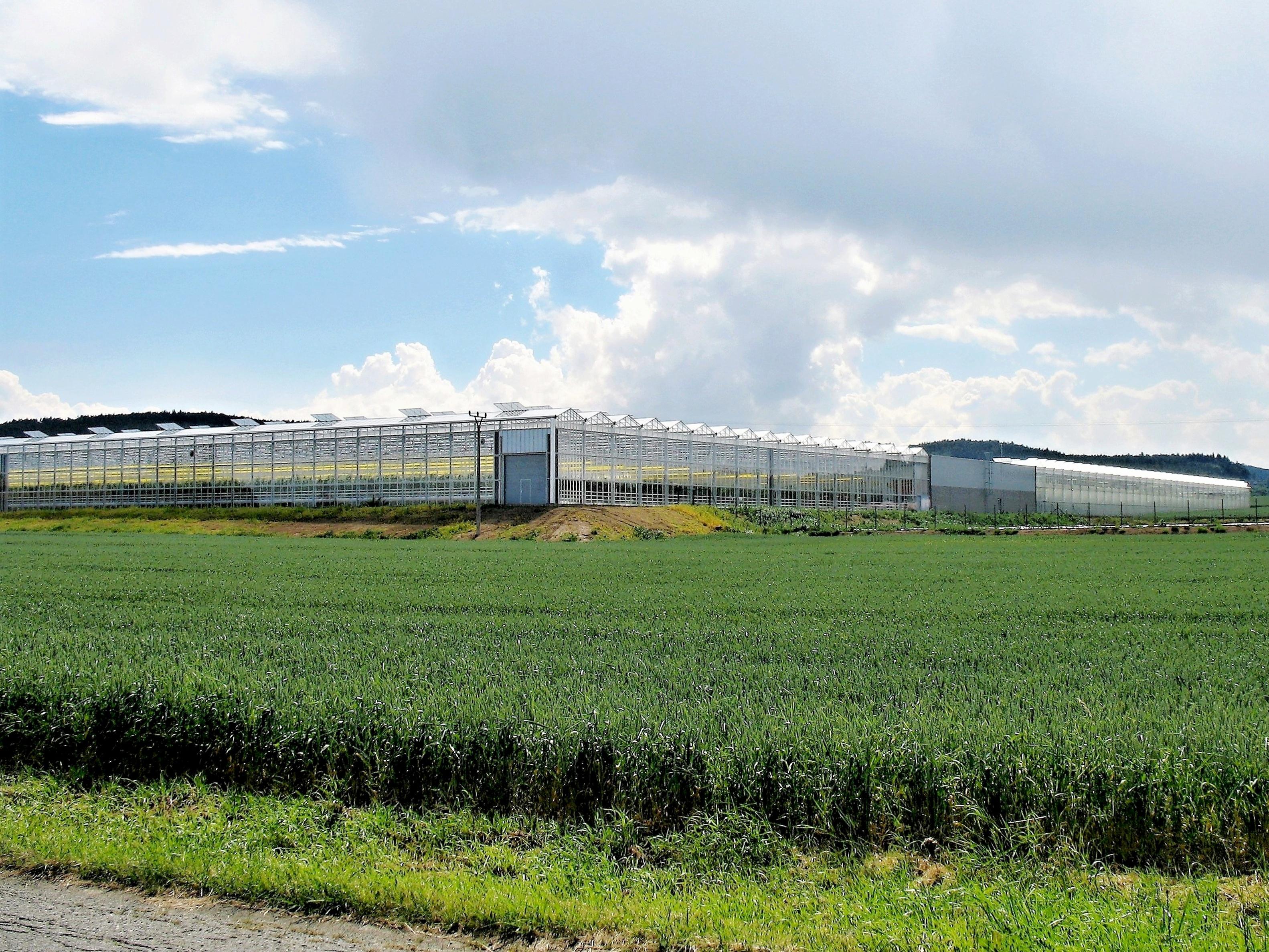 Zemědělské družstvo Haňovice - Prodejní automat foto 1