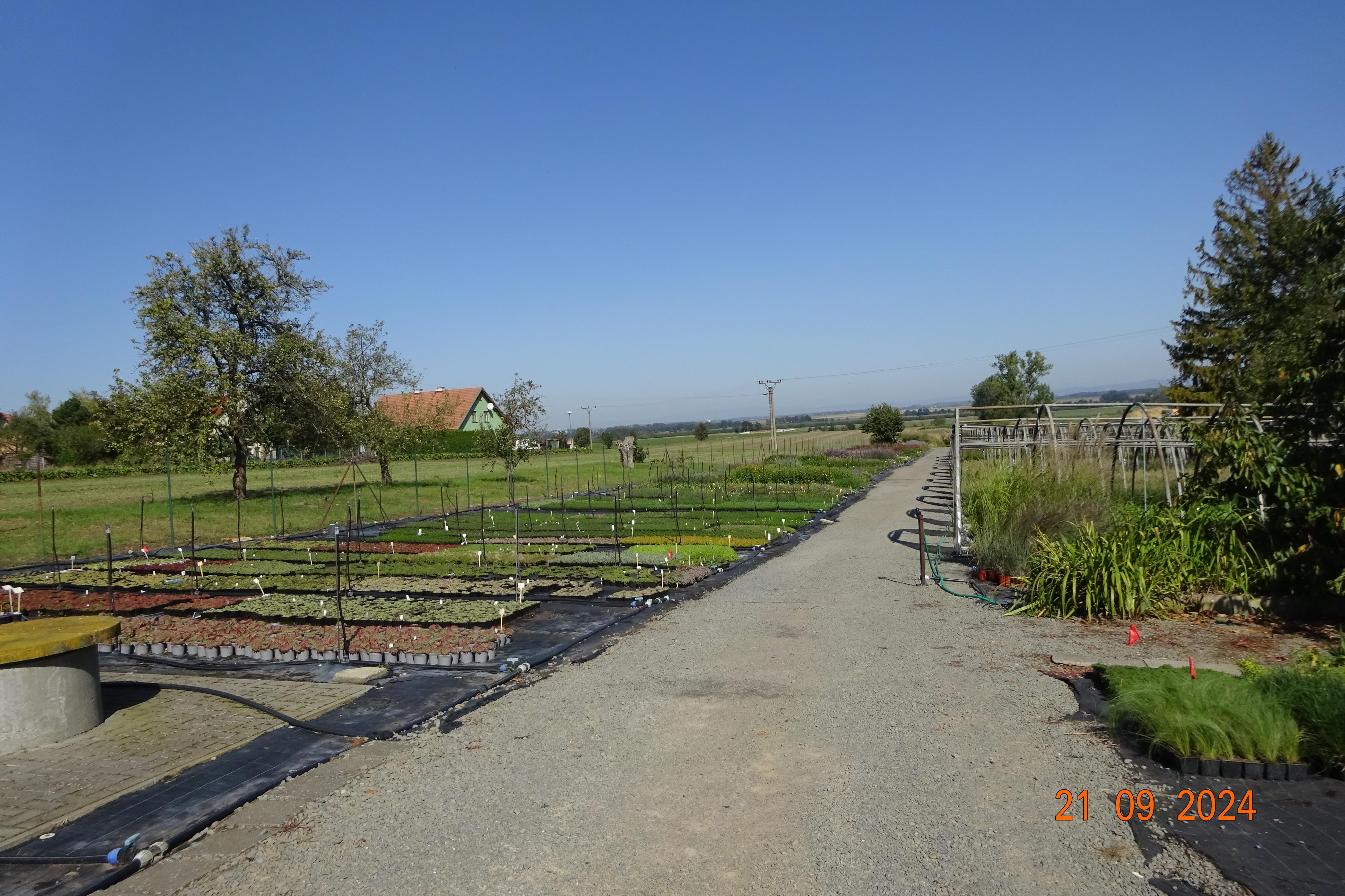 MRVA-okrasné trávy, trvalky s.r.o. foto 4