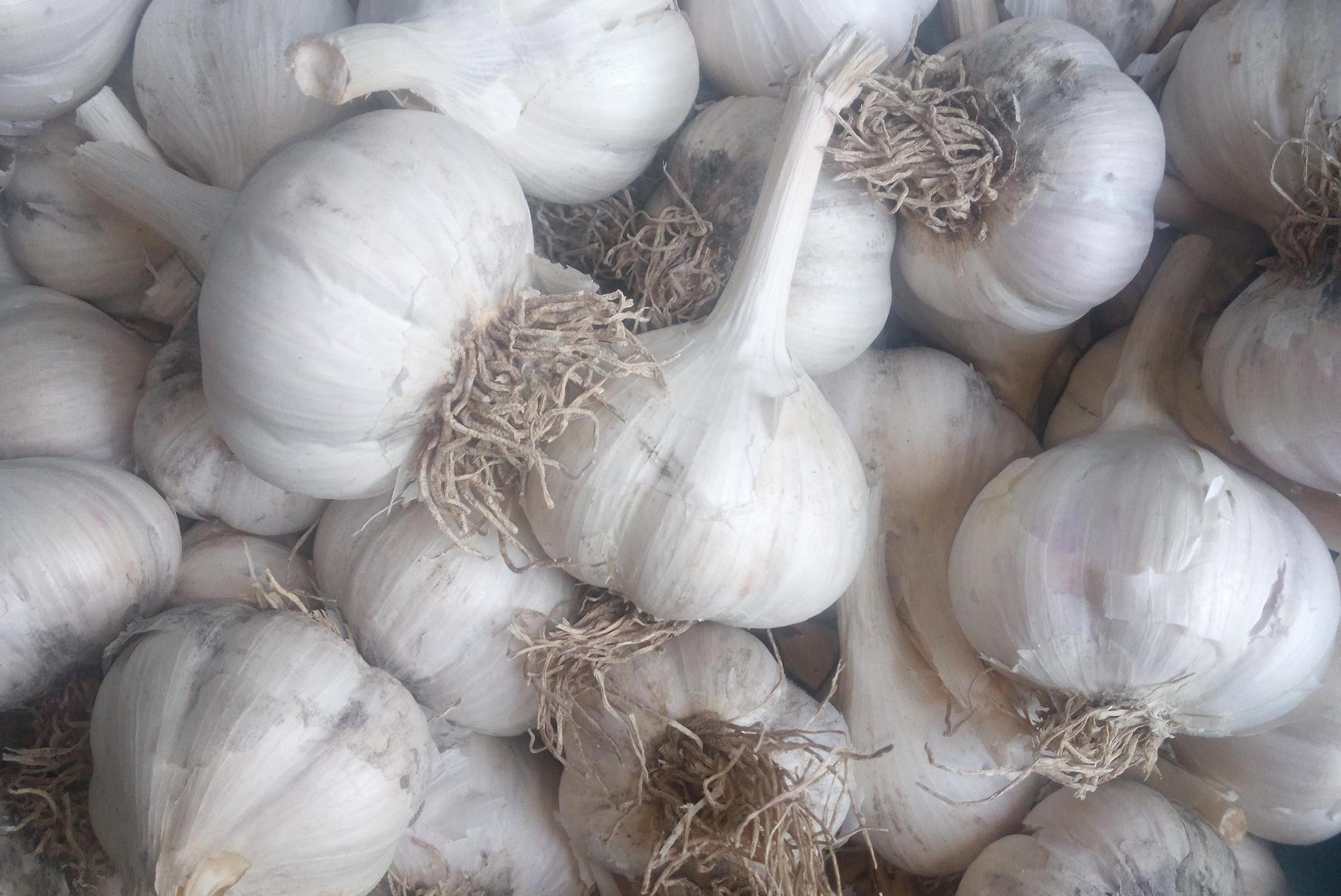 Zemědělec Martin Ranš