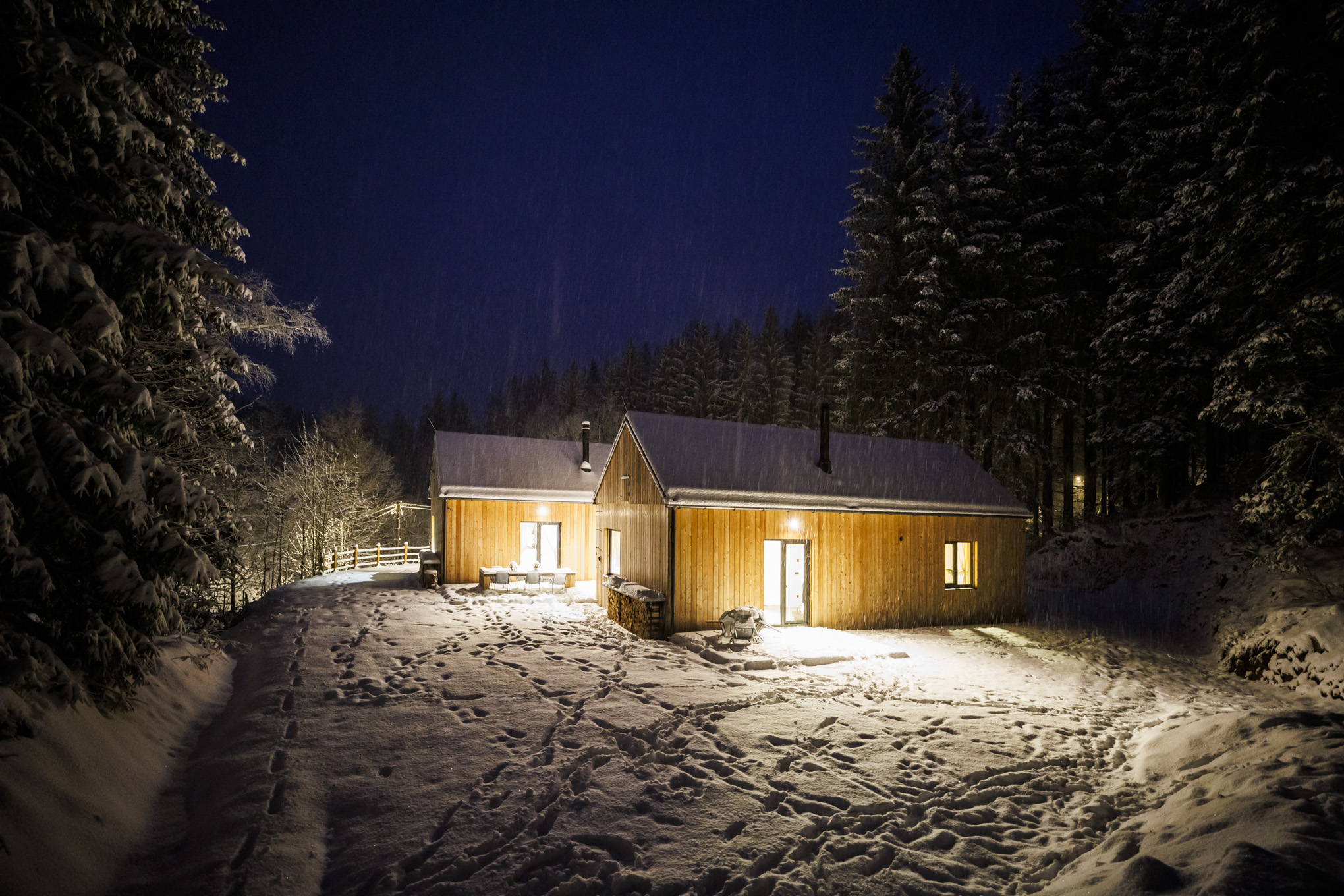 Blokki v lese foto 3