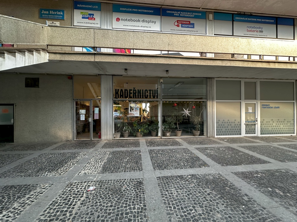 Kadeřnice Lenka Kotková