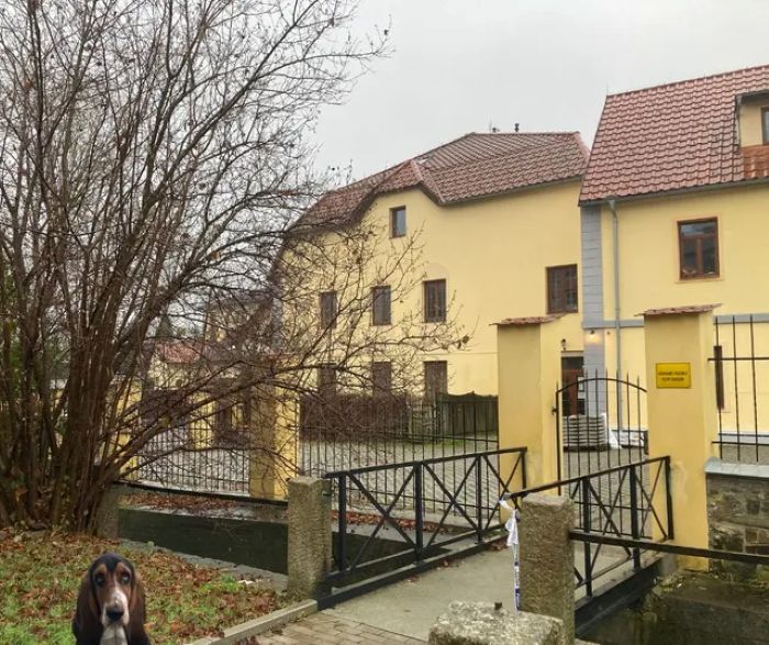 Michaela Podobská foto 4