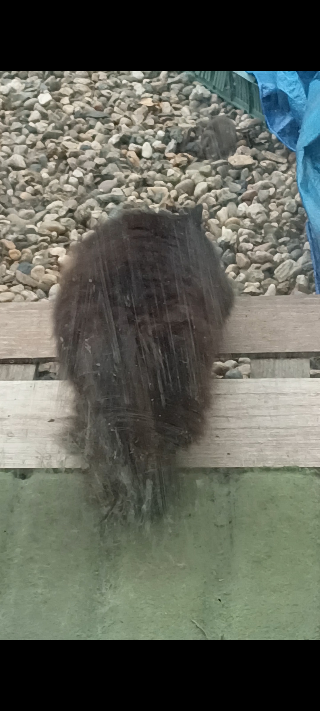 Apartmány Šárka foto 5