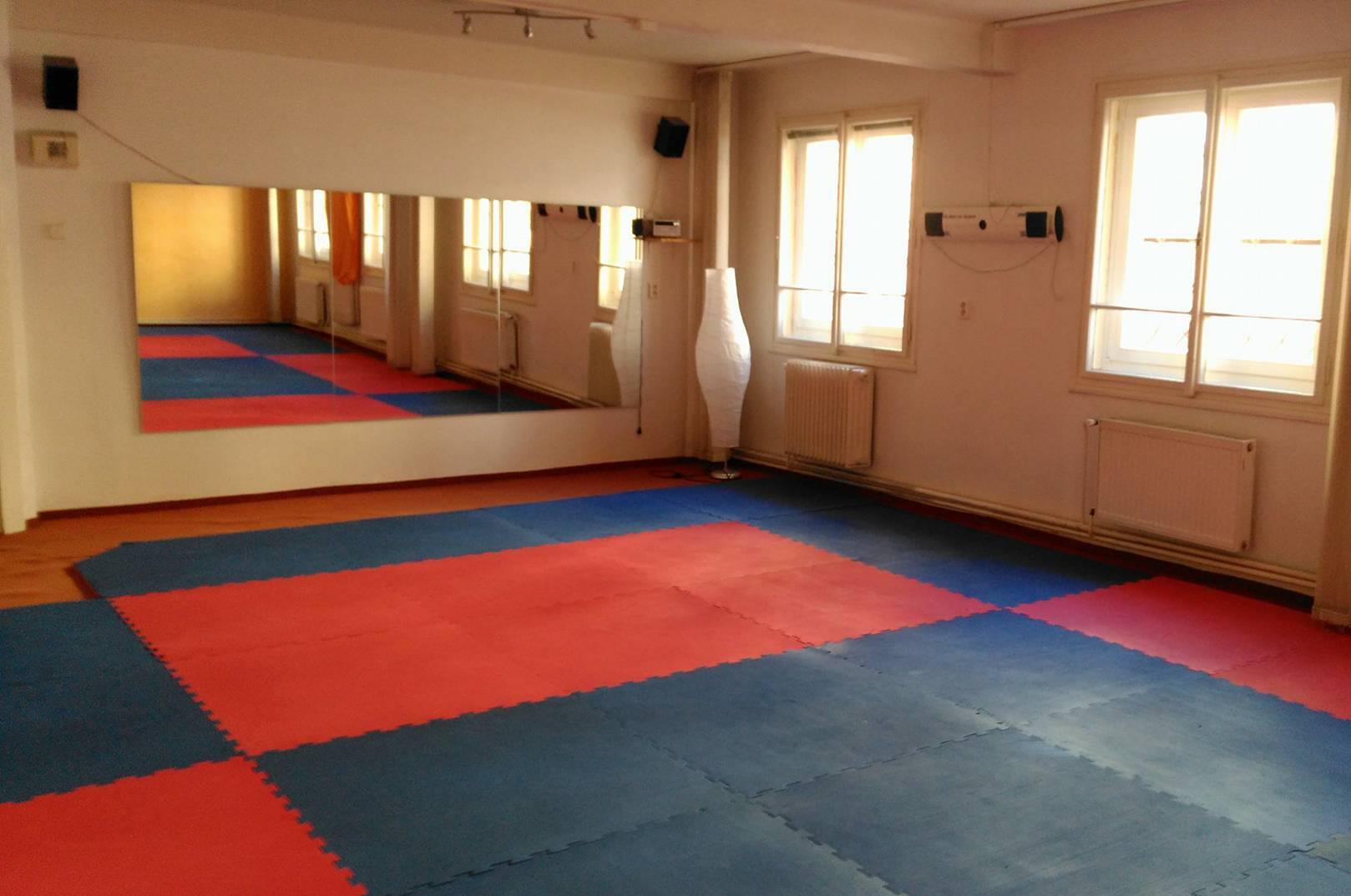 Česká akademie jógy