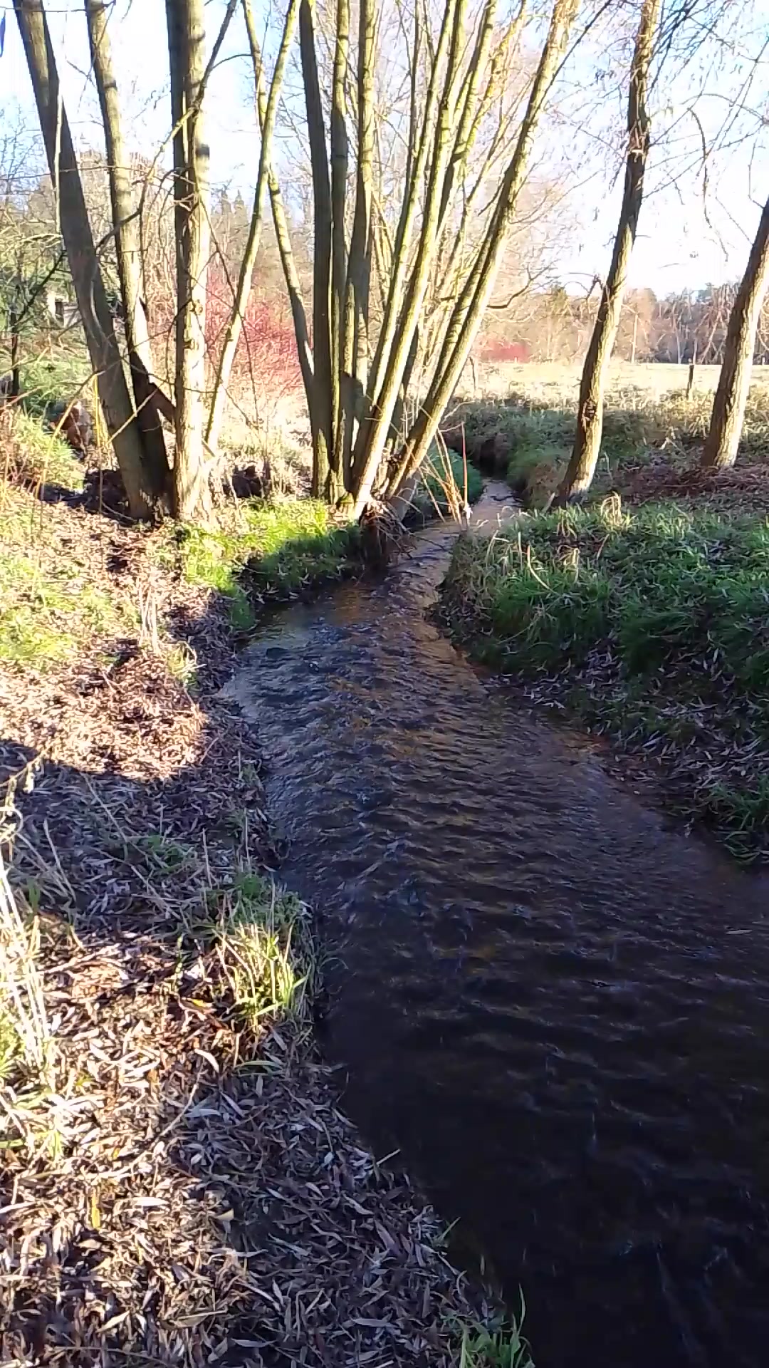 Srdcem se dívej - pobyt ve tmě, terapie tmou foto 2 (náhled videa)