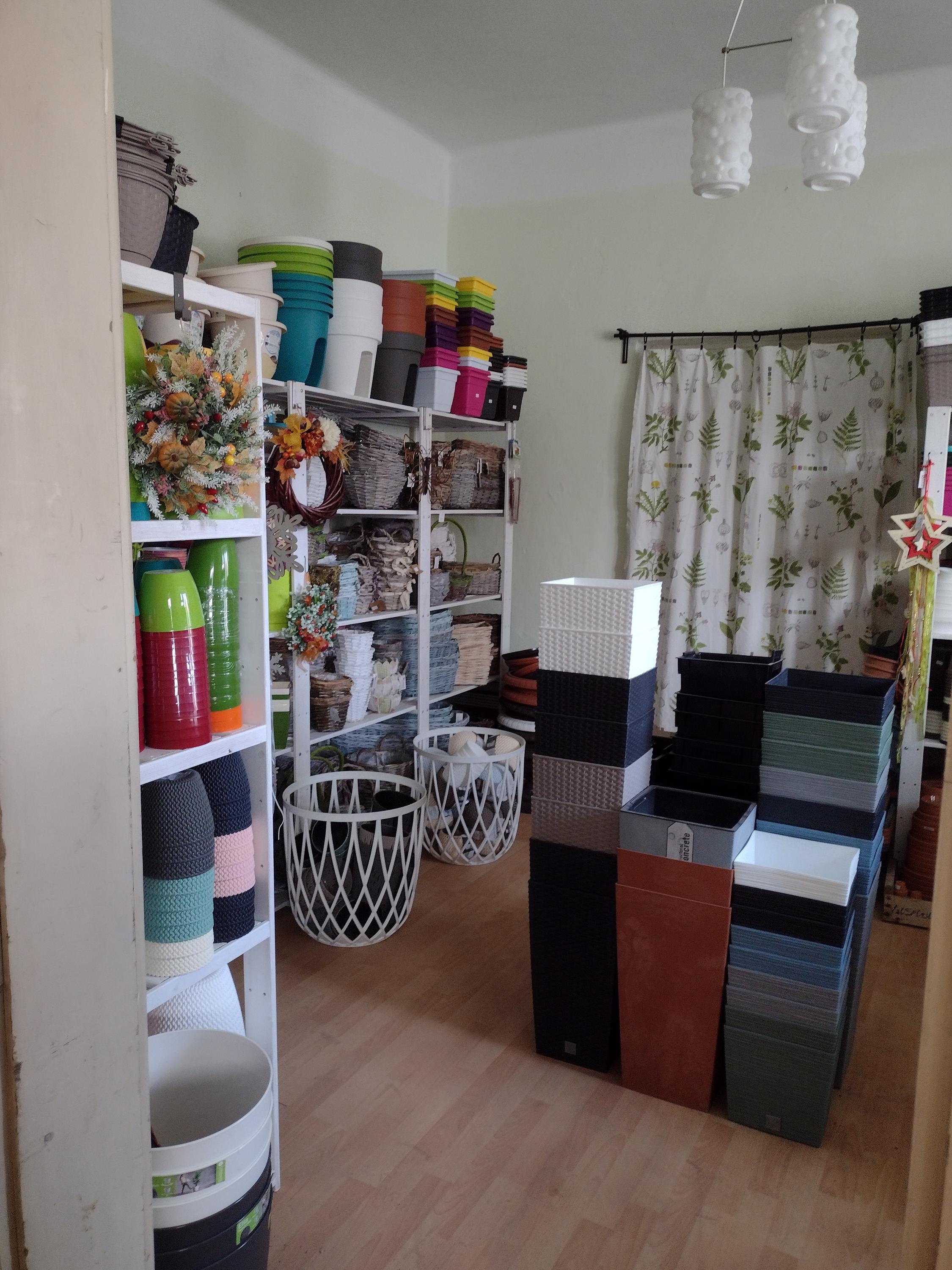 Zahradnictví Sasanka foto 3