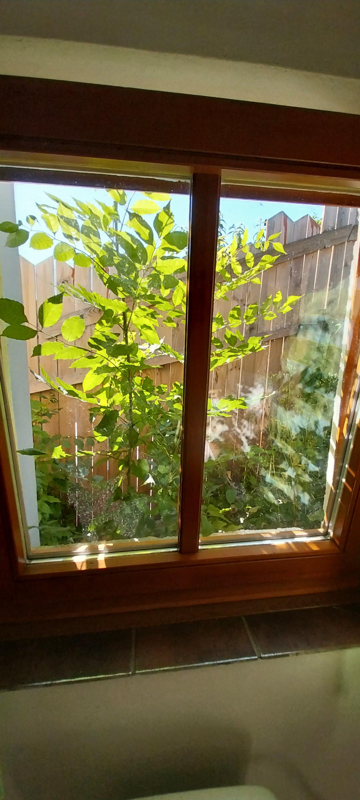 Apartmán u Marušky foto 6