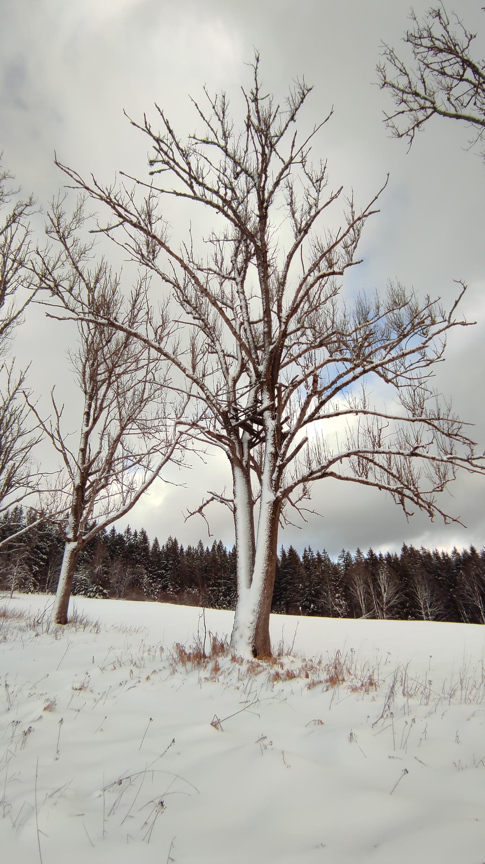 Chatičky v Železné Rudě foto 3