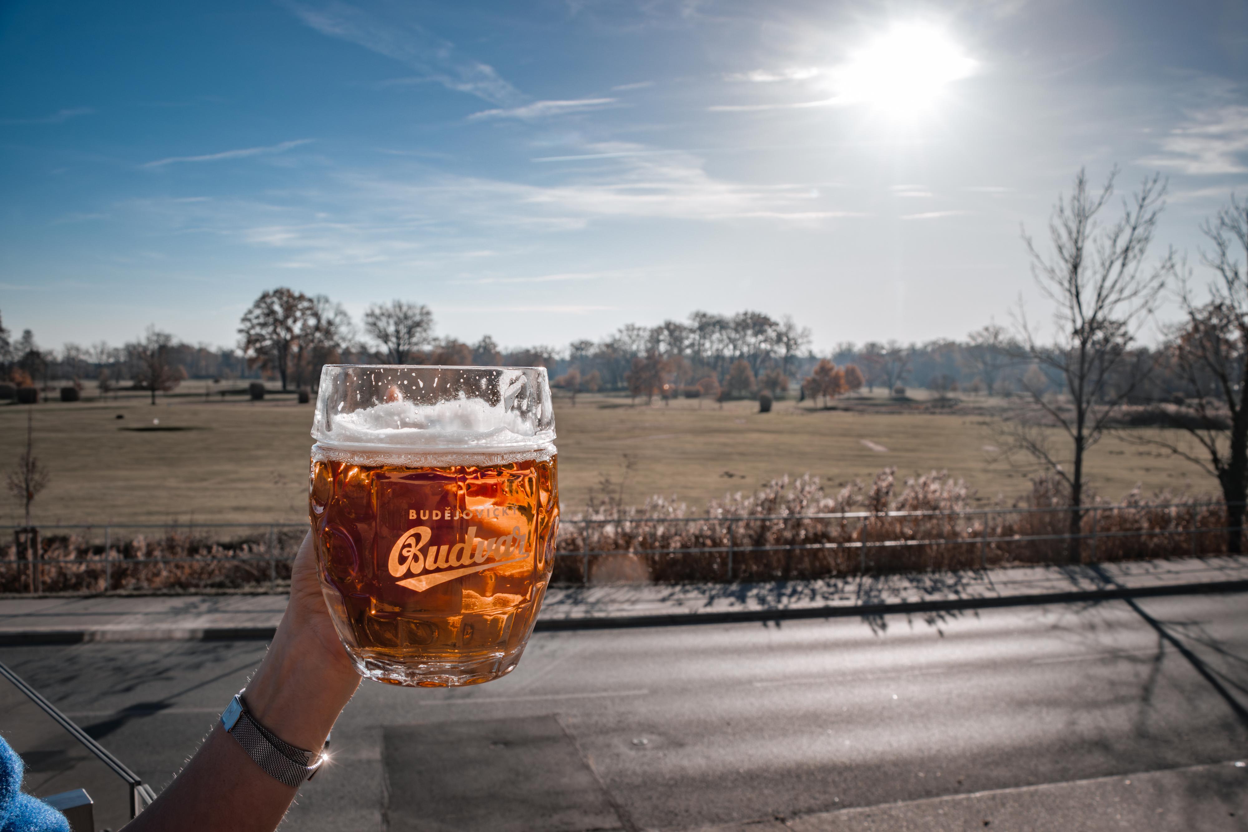 Restaurant Terrace Hluboká foto 4