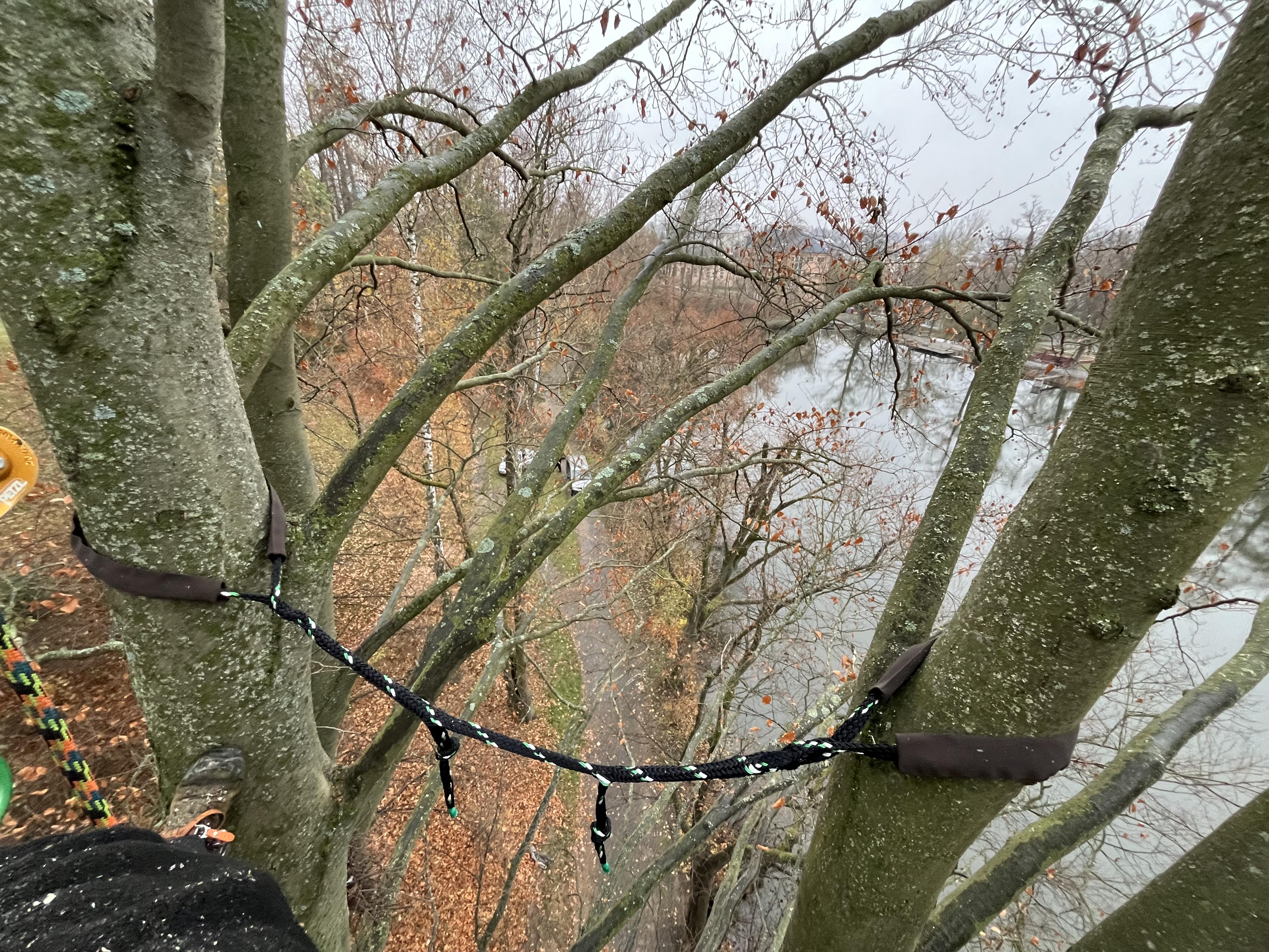 Štěpán Stryk - Arboristika & rizikové kácení foto 4