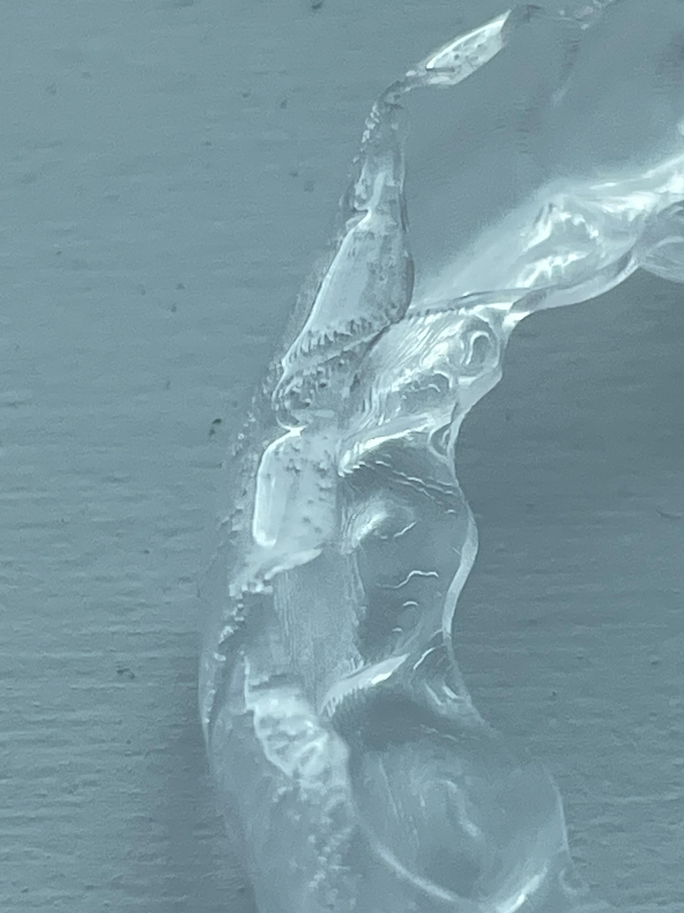DENTALABS foto 2