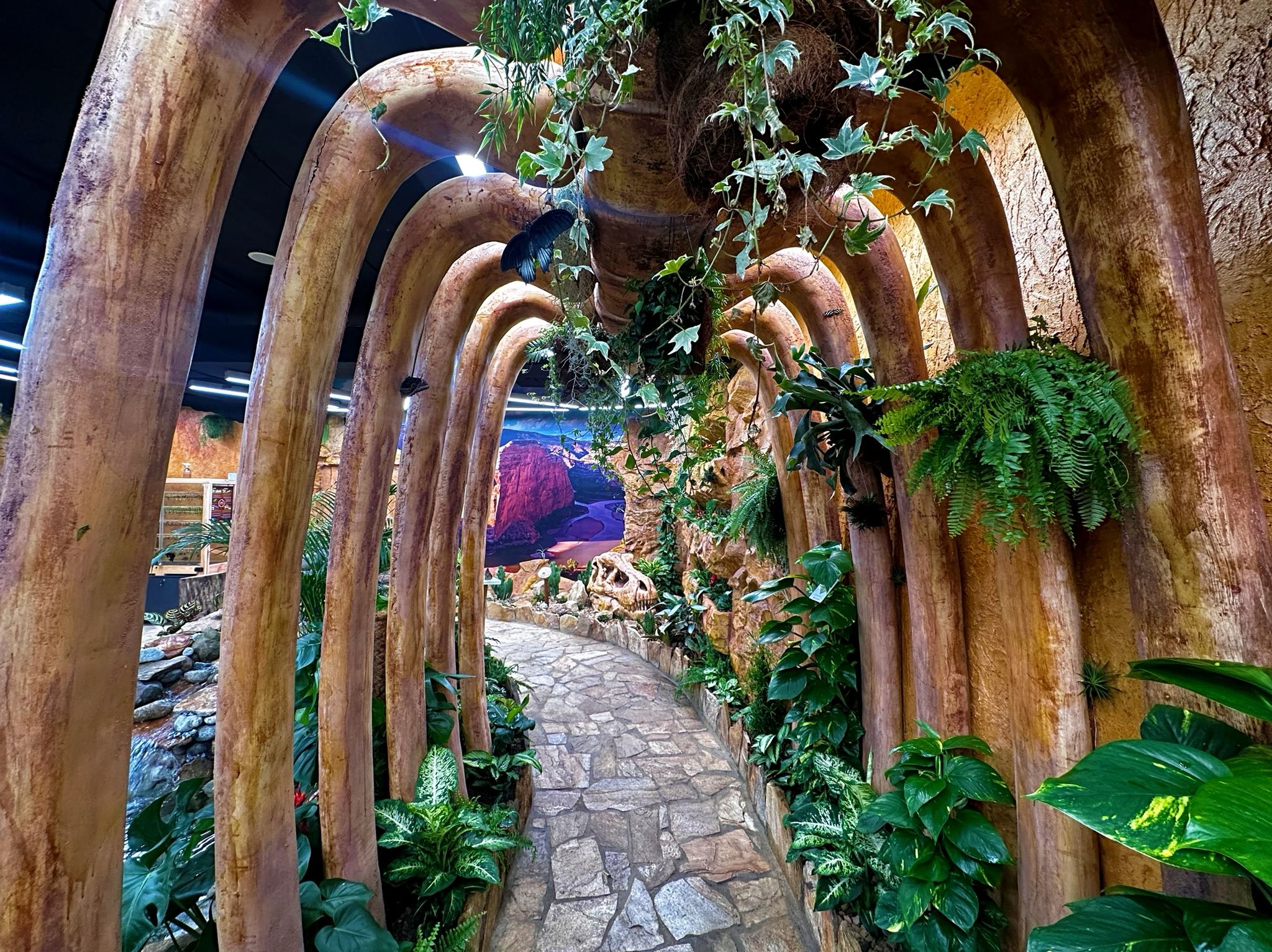 Papilonia – motýlí dům foto 3