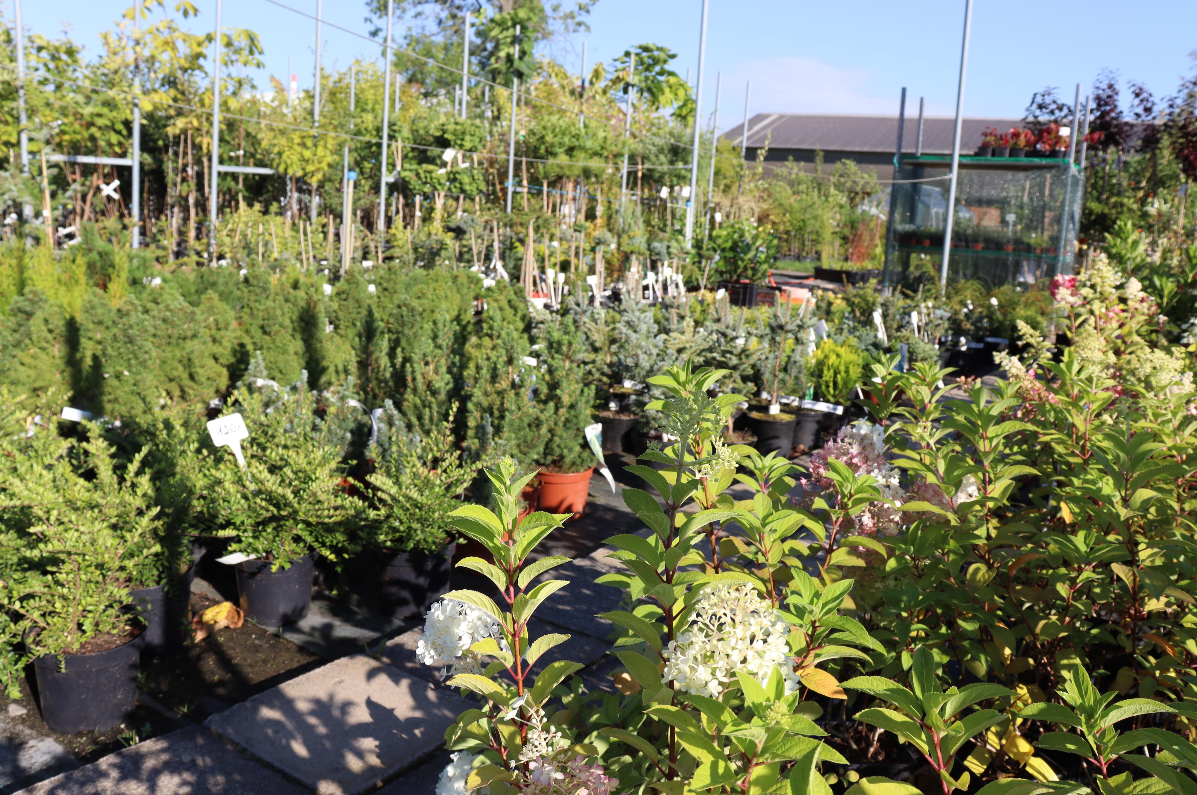 Zahradavystaviste.cz