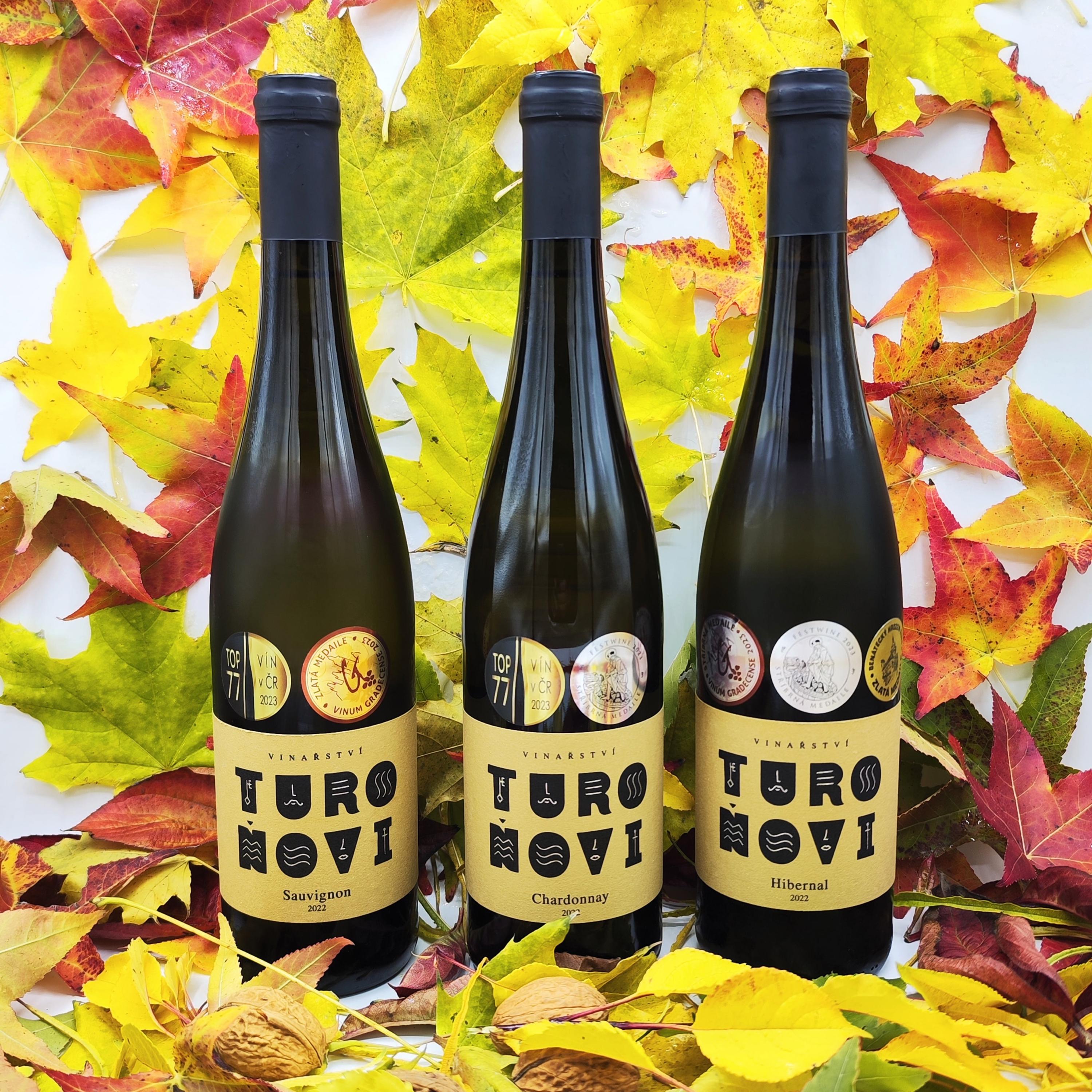 Vinařství Turoňovi - Vinný sklep foto 3