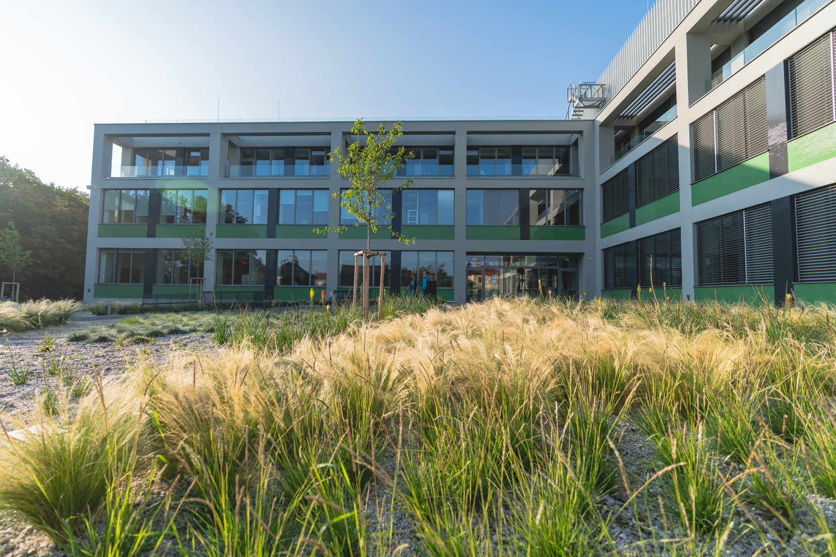 ČZU - Fakulta tropického zemědělství foto 4