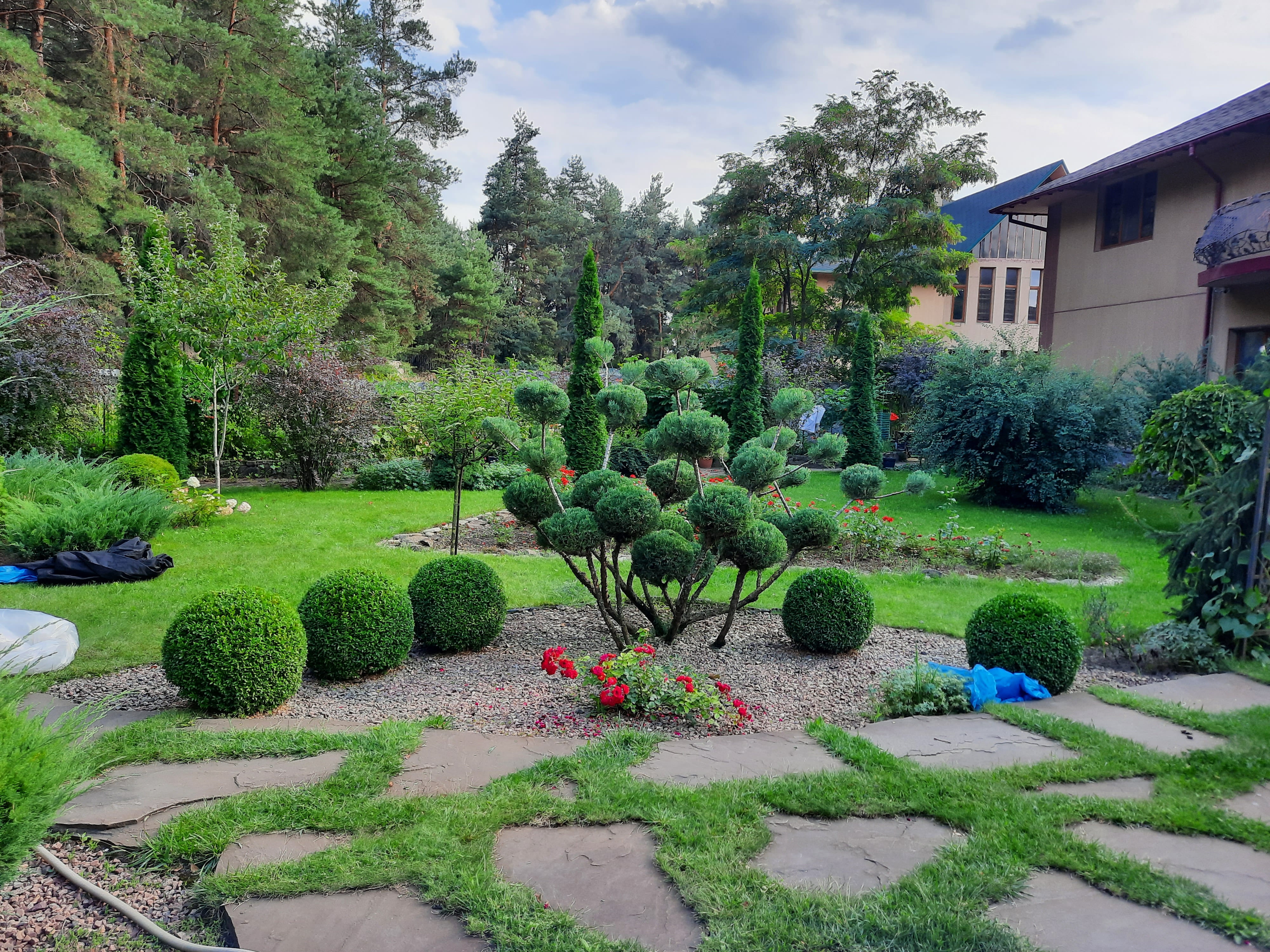 Bc. Svitlana Rudakova - Zahradnické služby