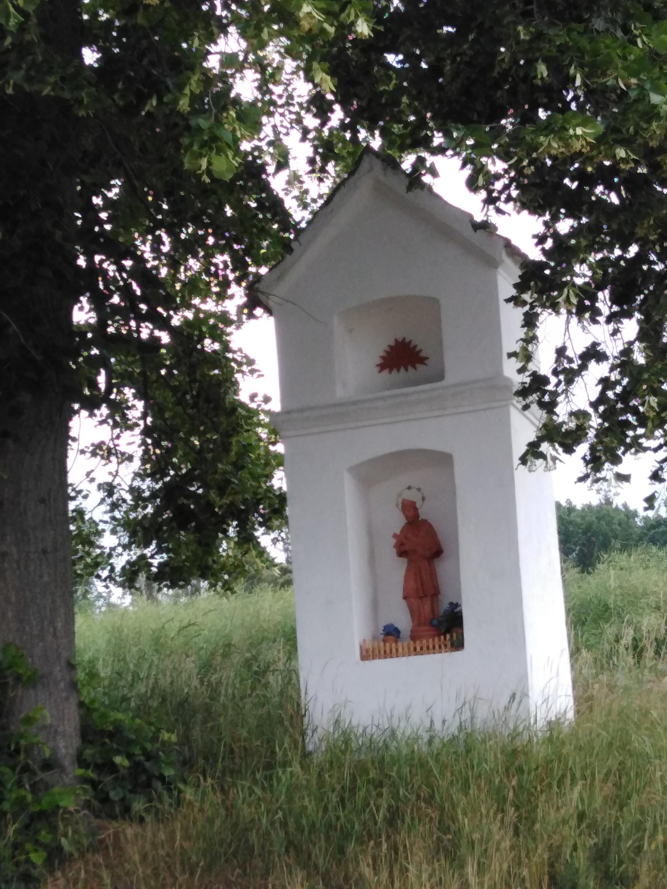 LESOŠKOLKY, s.r.o. foto 2