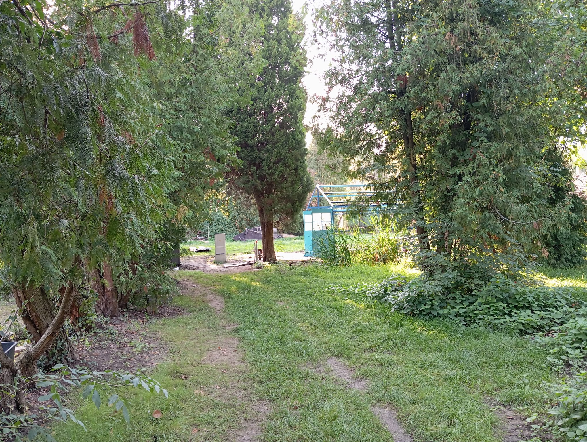Lesní MŠ Stromeček Měšice foto 2