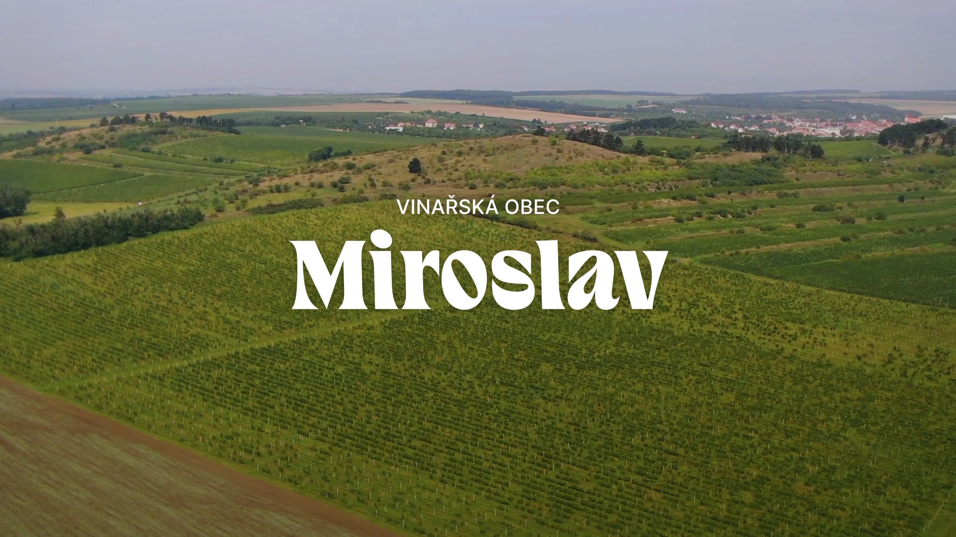 Znovín Zojmo - Prodejna lahvových a sudových vín foto 2 (náhled videa)