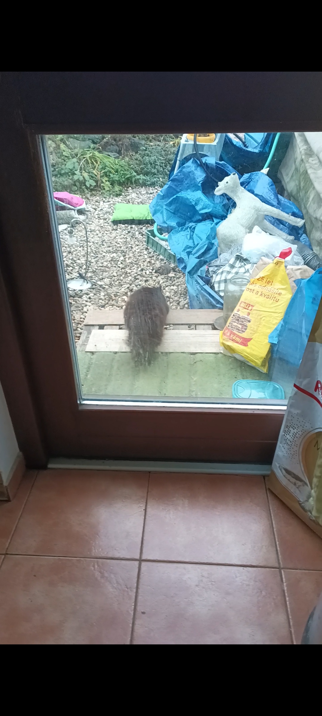 Apartmány Šárka foto 4