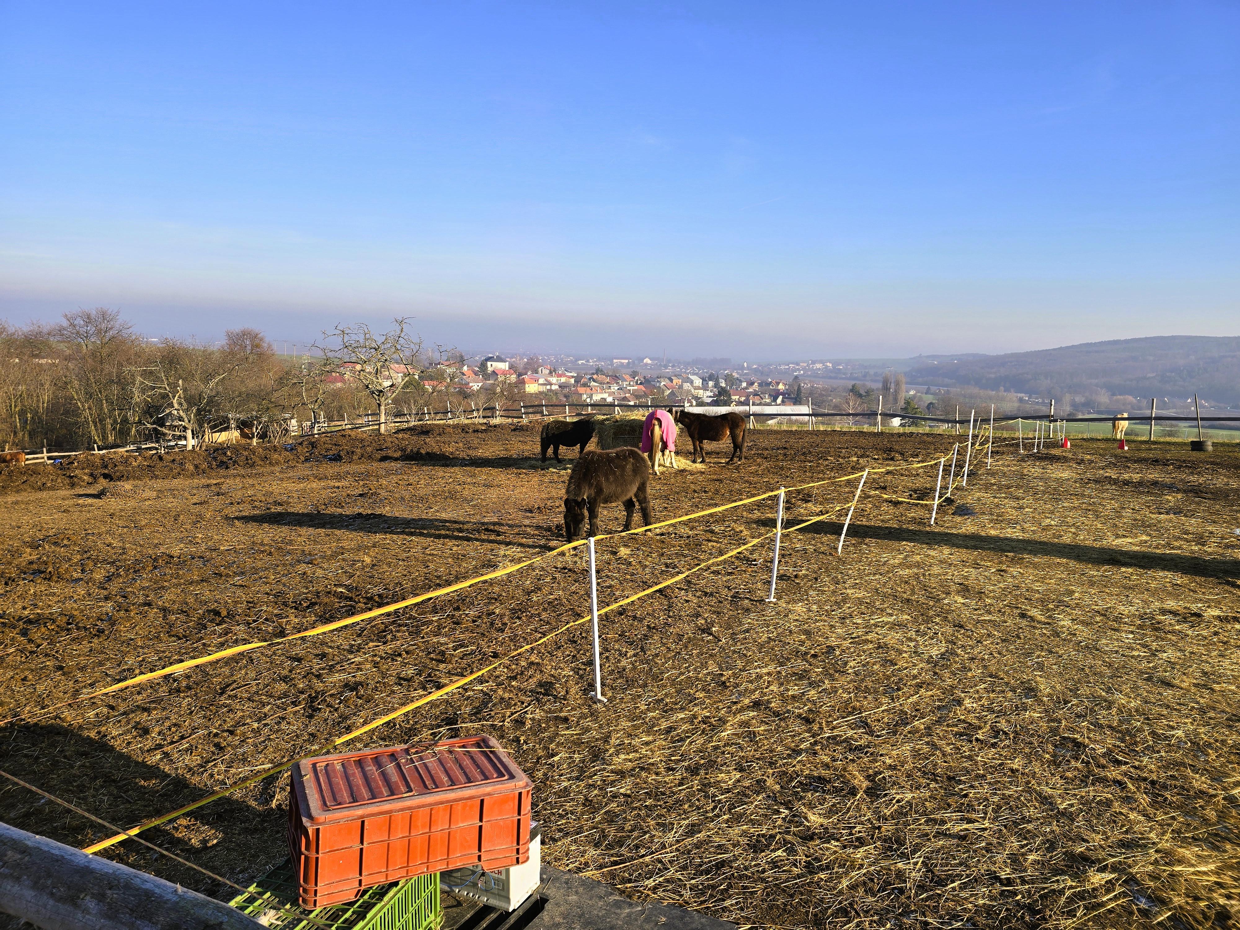 Naše malá farma Ludéřov foto 4