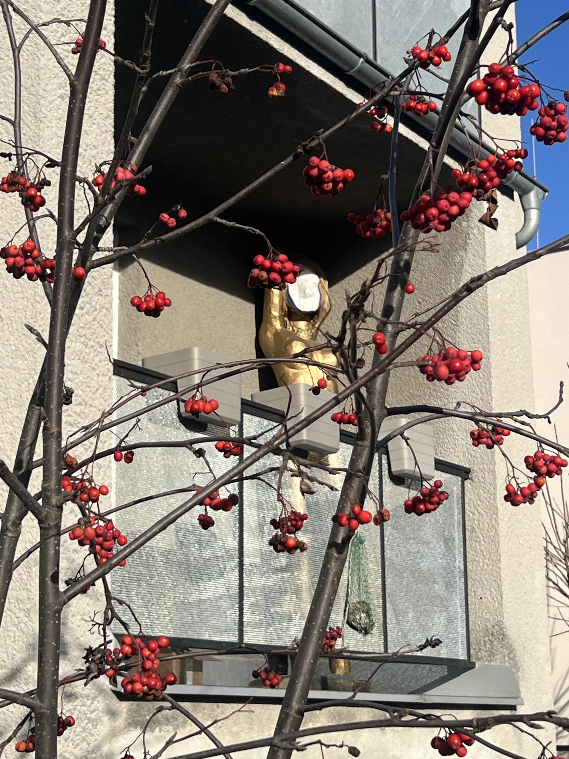 Rámařství a sklenářství - Miluše Dušková foto 2