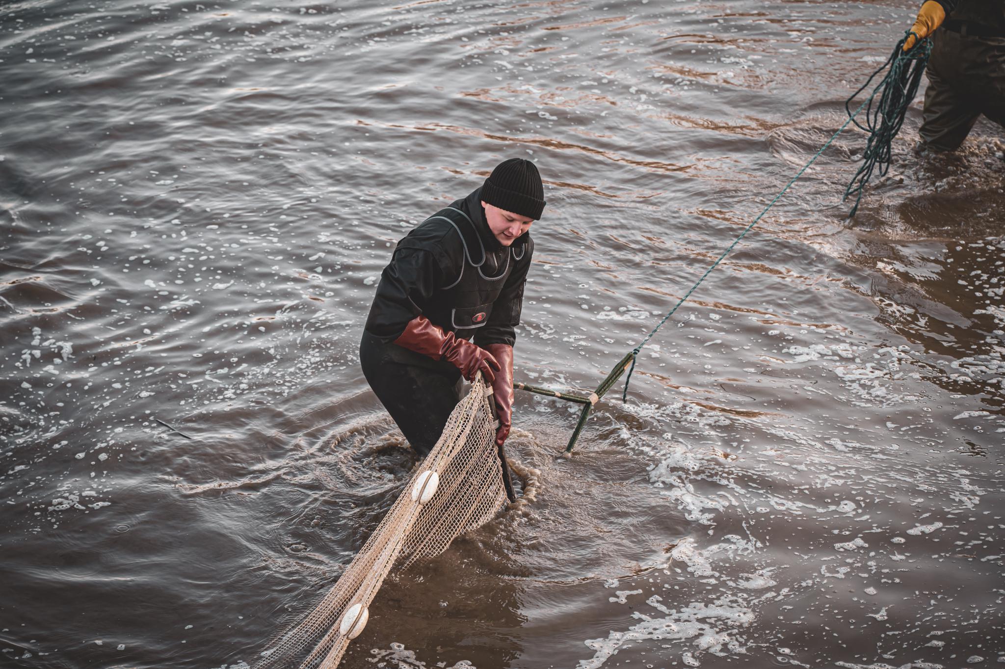 Radomil Macek - Vánoční kapři i další ryby foto 5