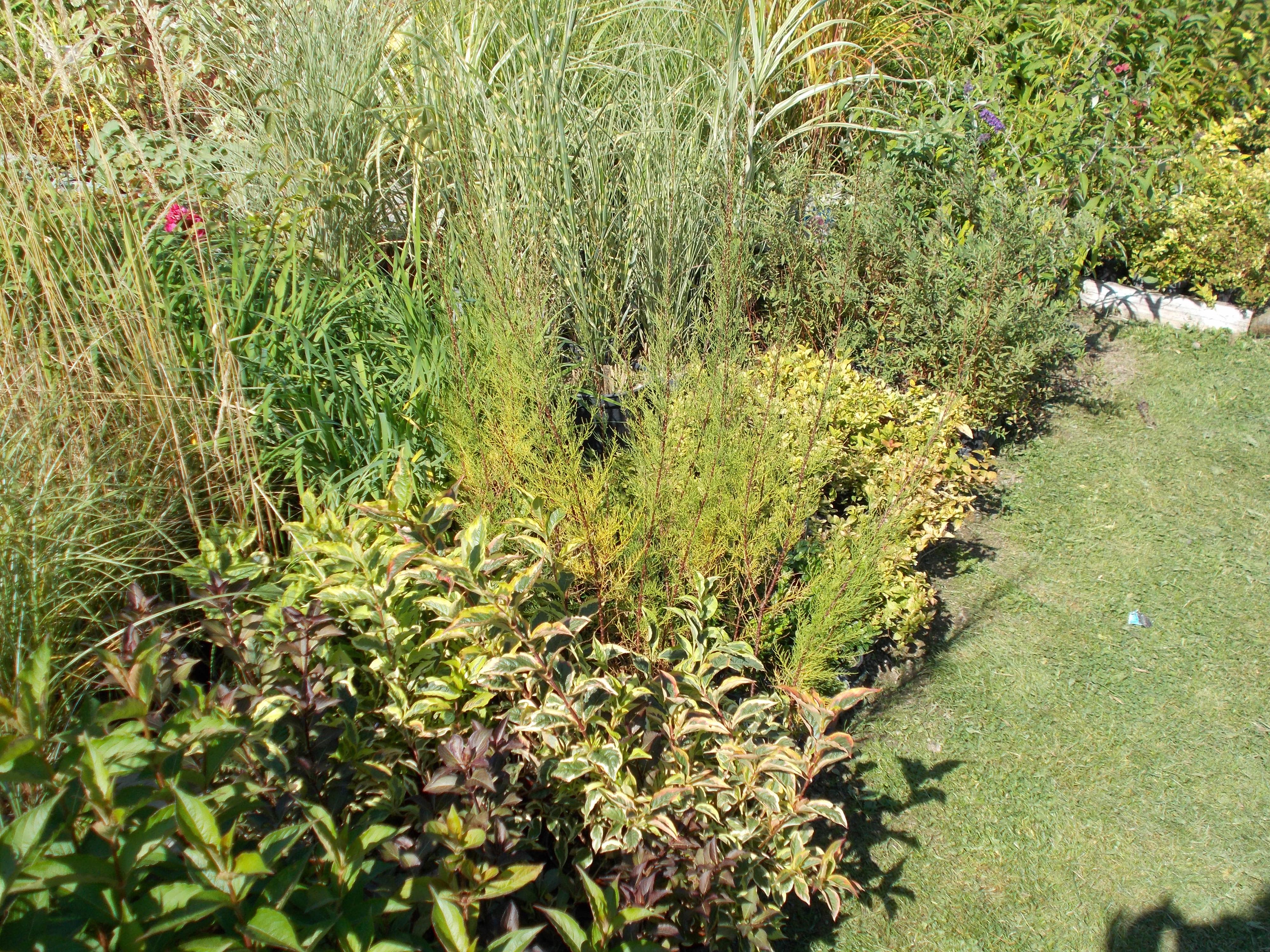 Zahradnická večerka Suchý - Miloš Trefný foto 2