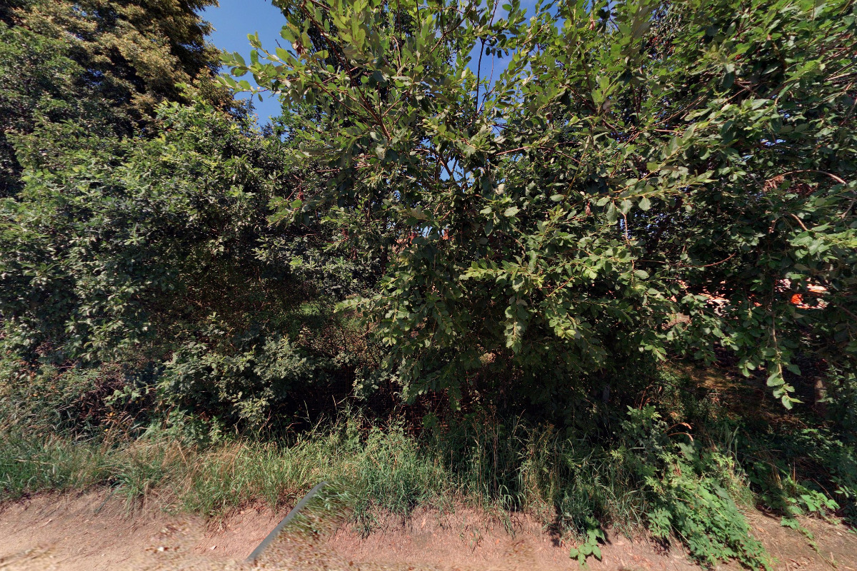 OPRAVA SILNIČNÍCH VOZIDEL Martin Hanzal