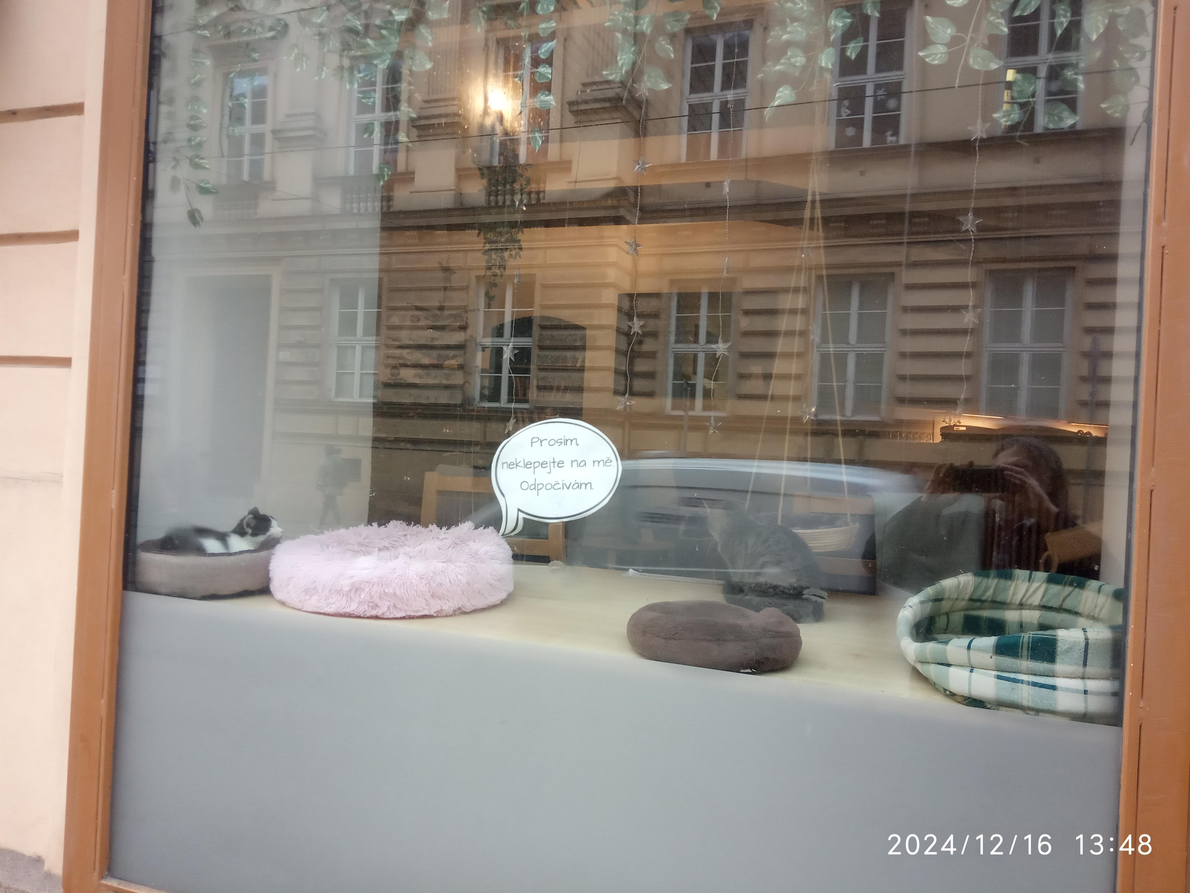 Tři Kočketýři foto 2
