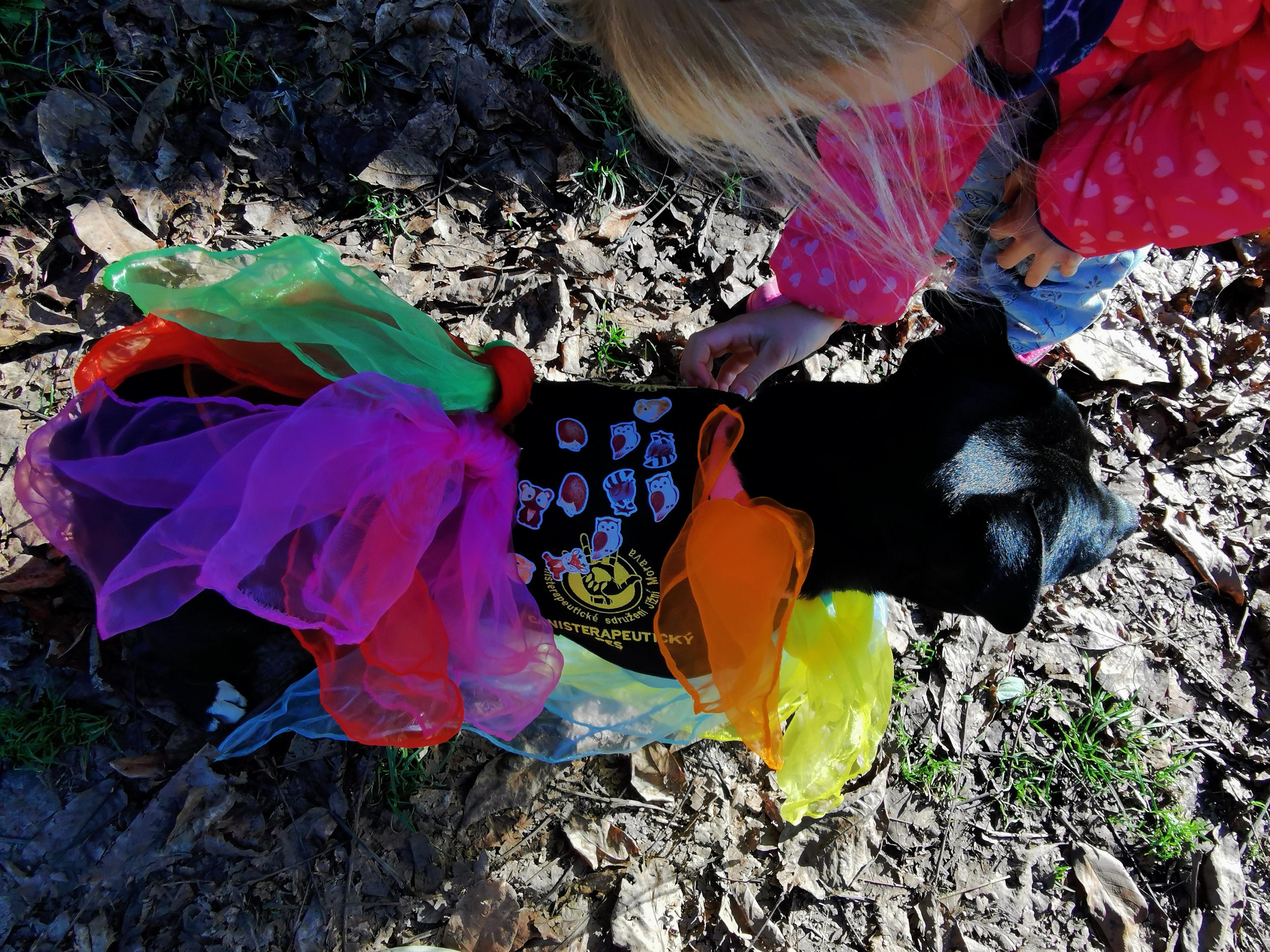 Nikol Terzijska Canisterapie foto 2