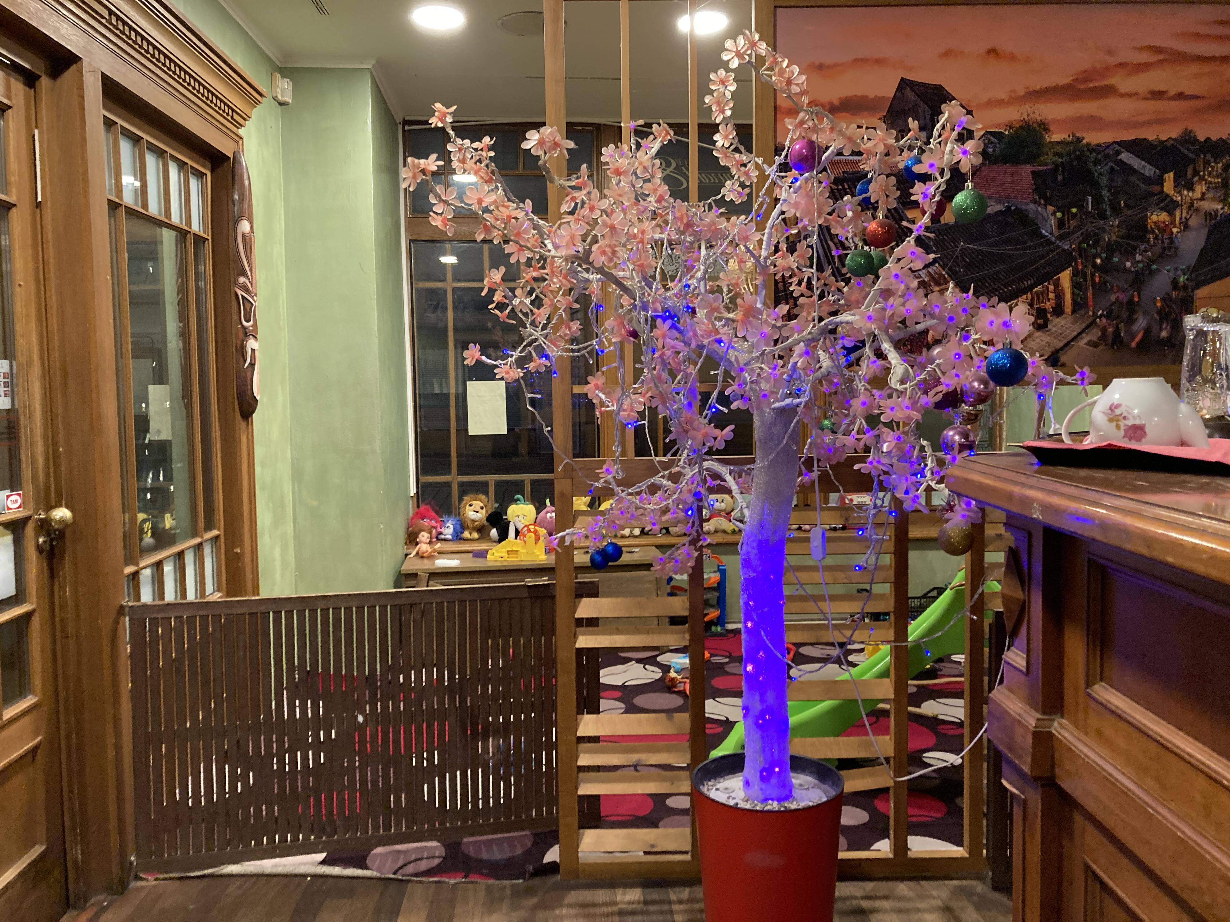 VY Restaurace foto 6