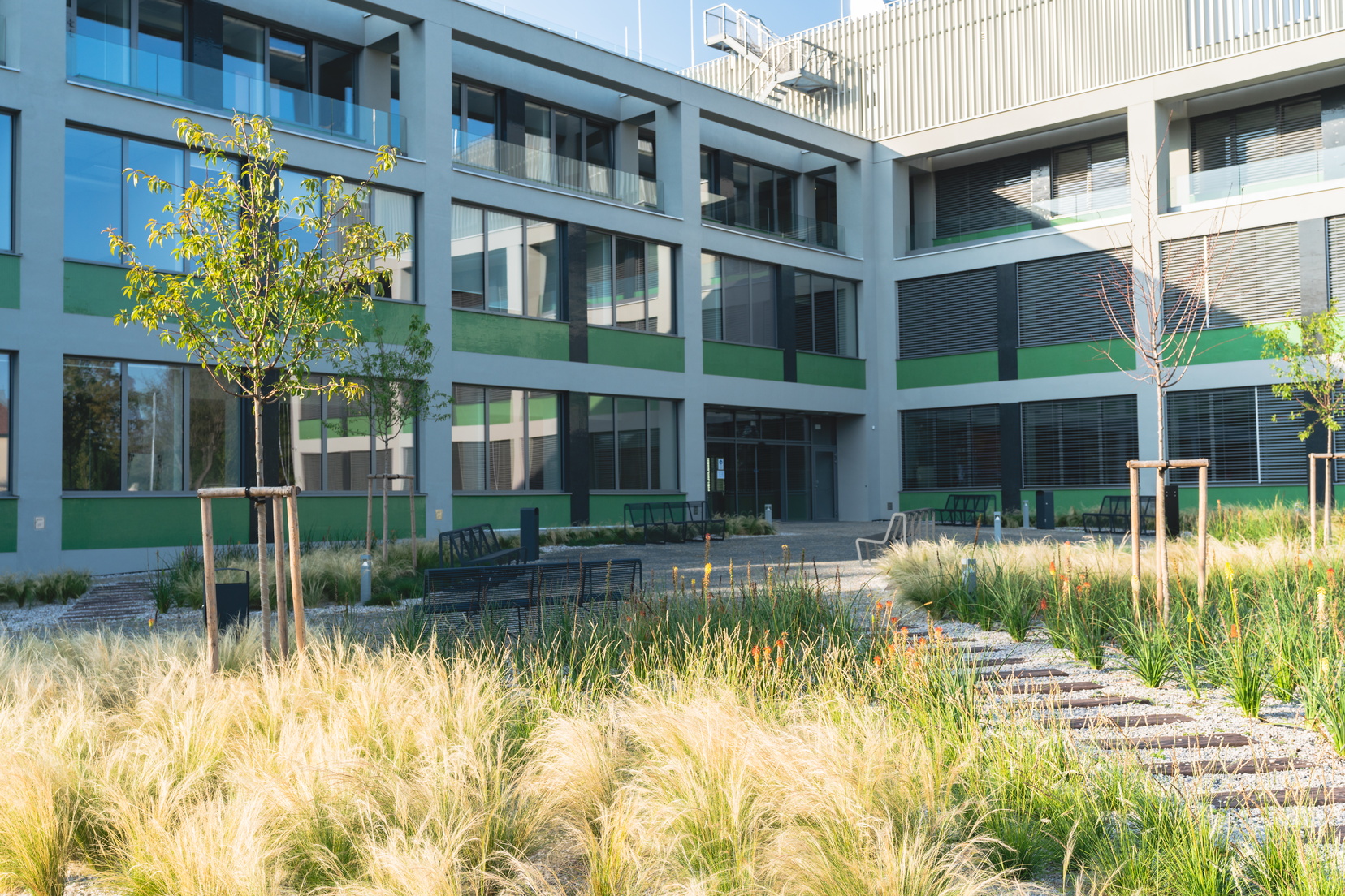 ČZU - Fakulta tropického zemědělství foto 5